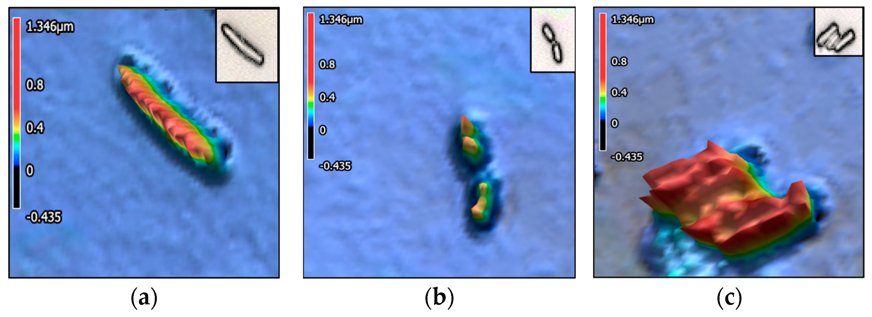 Encyclopedia 05 00130 g003