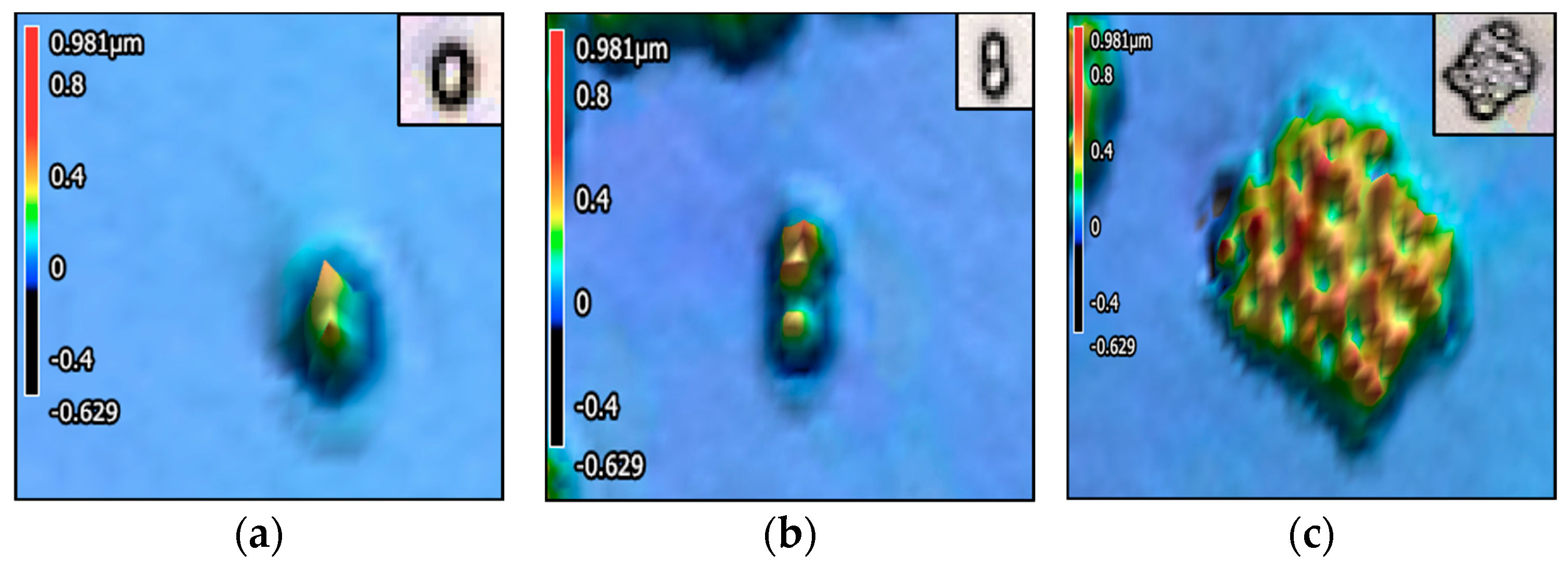 Encyclopedia 05 00130 g005