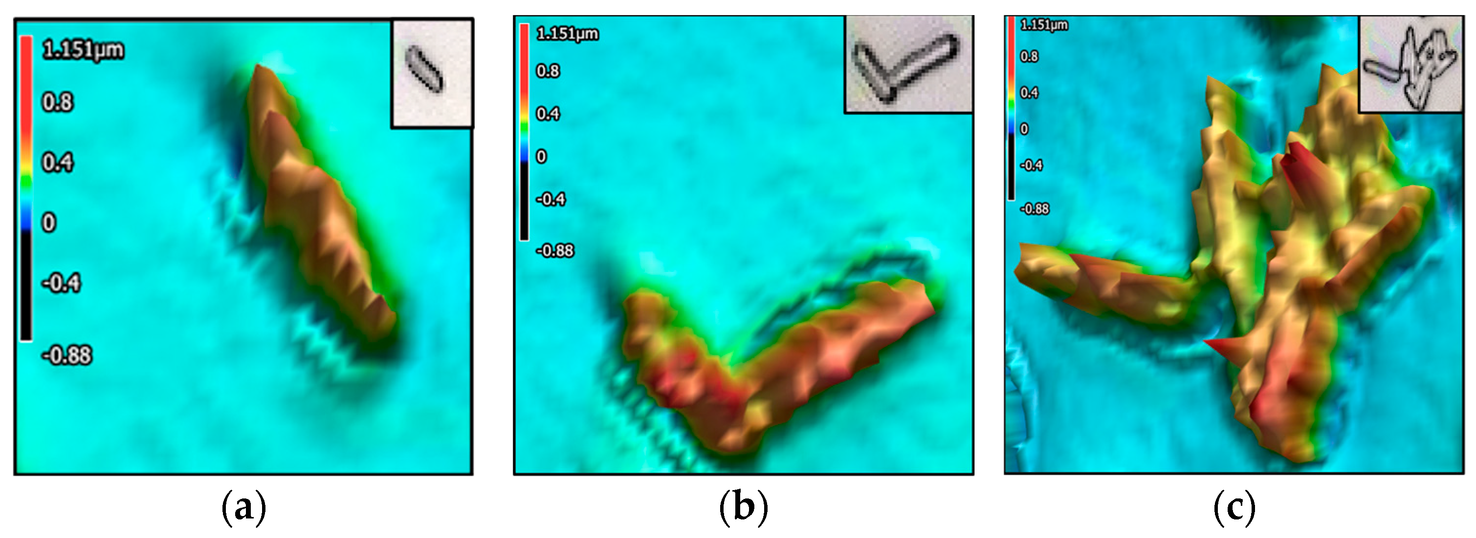 Encyclopedia 05 00130 g006
