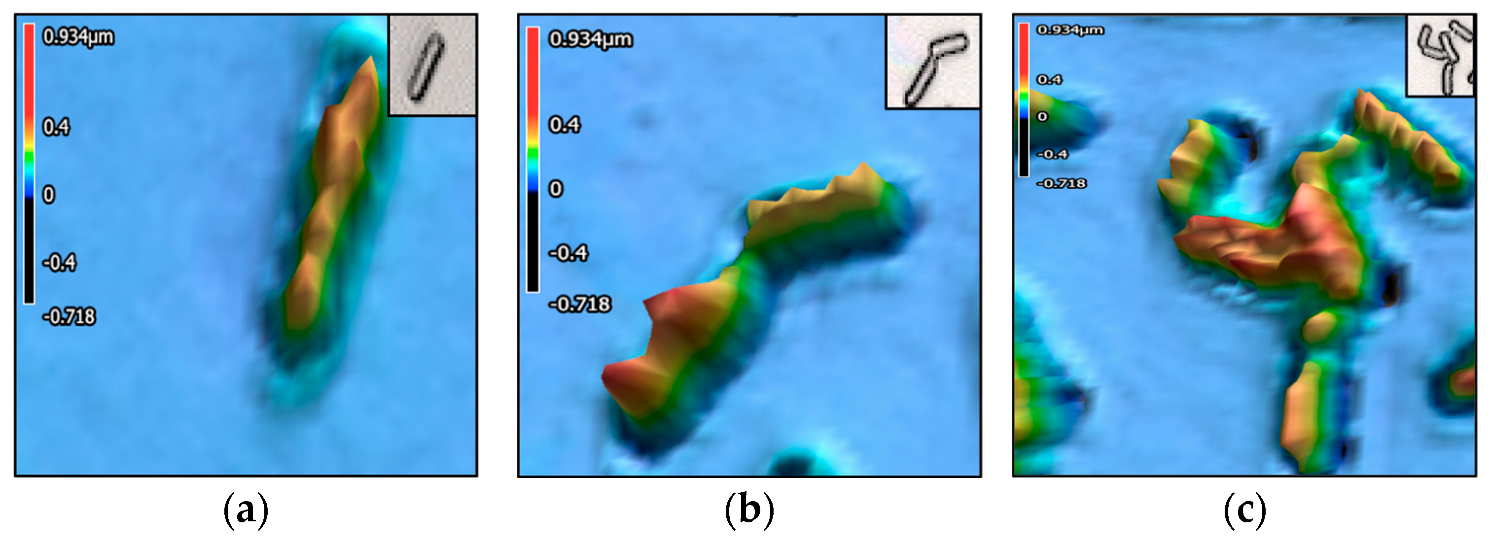 Encyclopedia 05 00130 g007