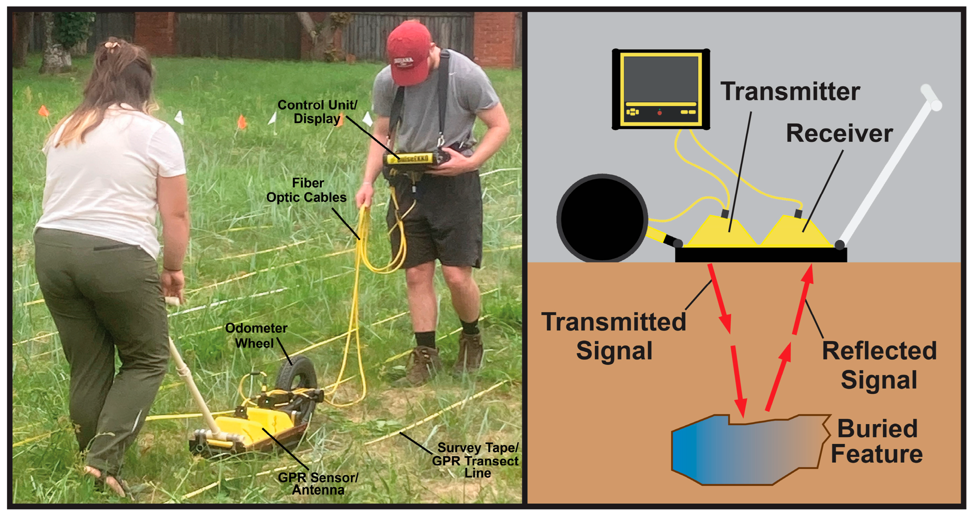 Encyclopedia 05 00151 g004