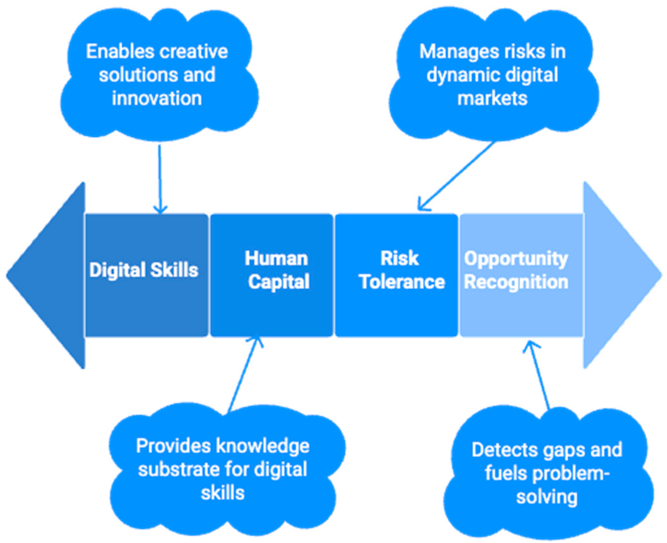 Encyclopedia 05 00154 g001