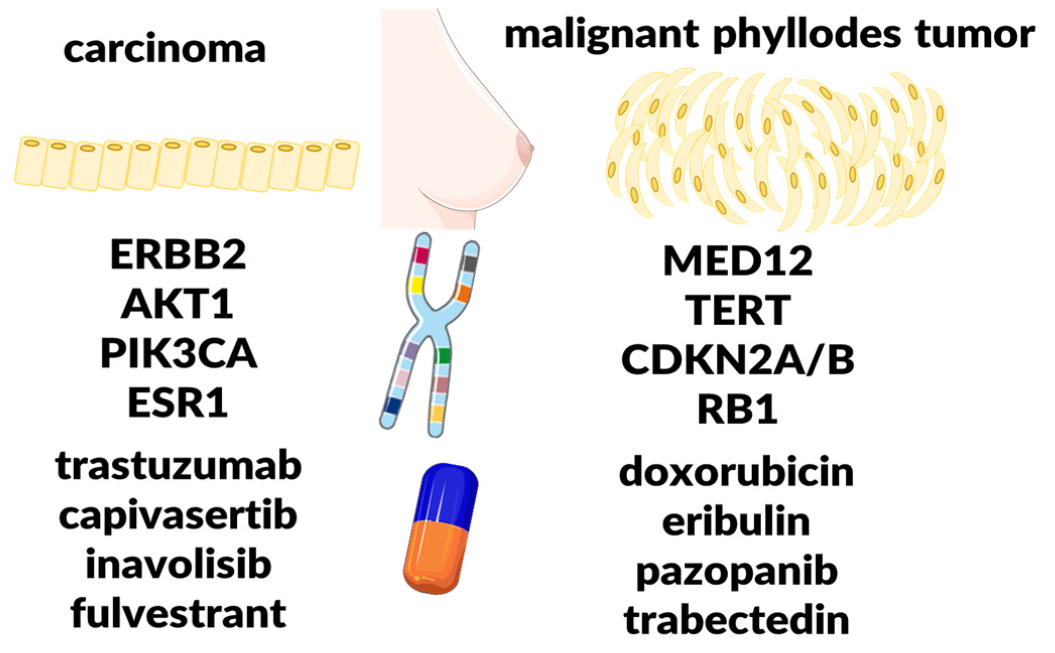 Encyclopedia 05 00157 g001 Encyclopedia 05 00157 g001