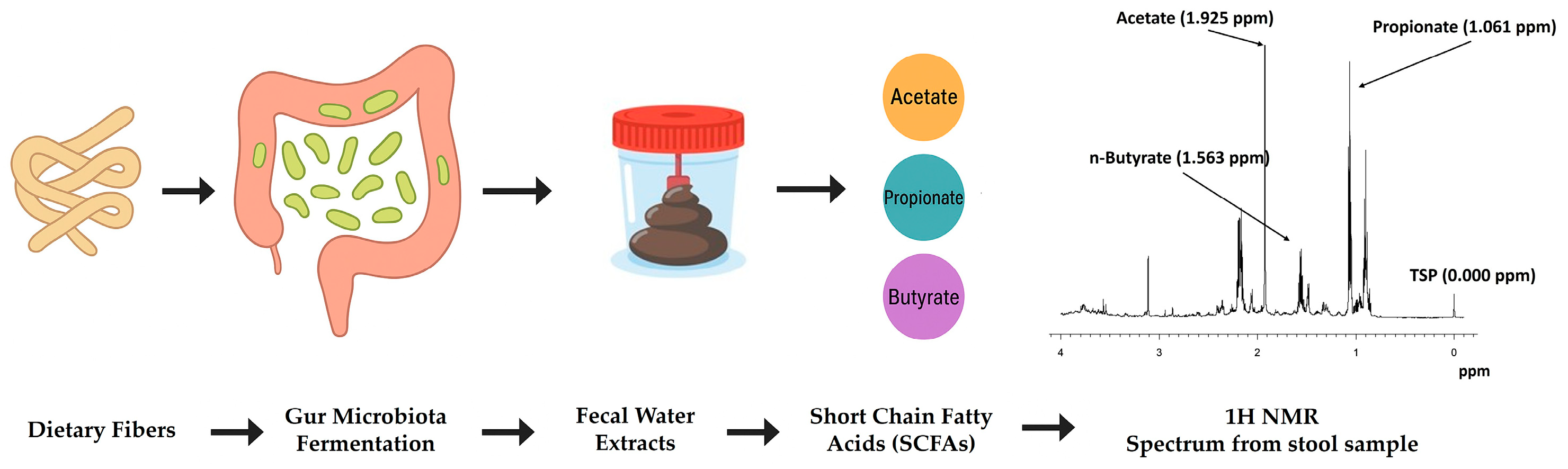 Encyclopedia 05 00174 g001