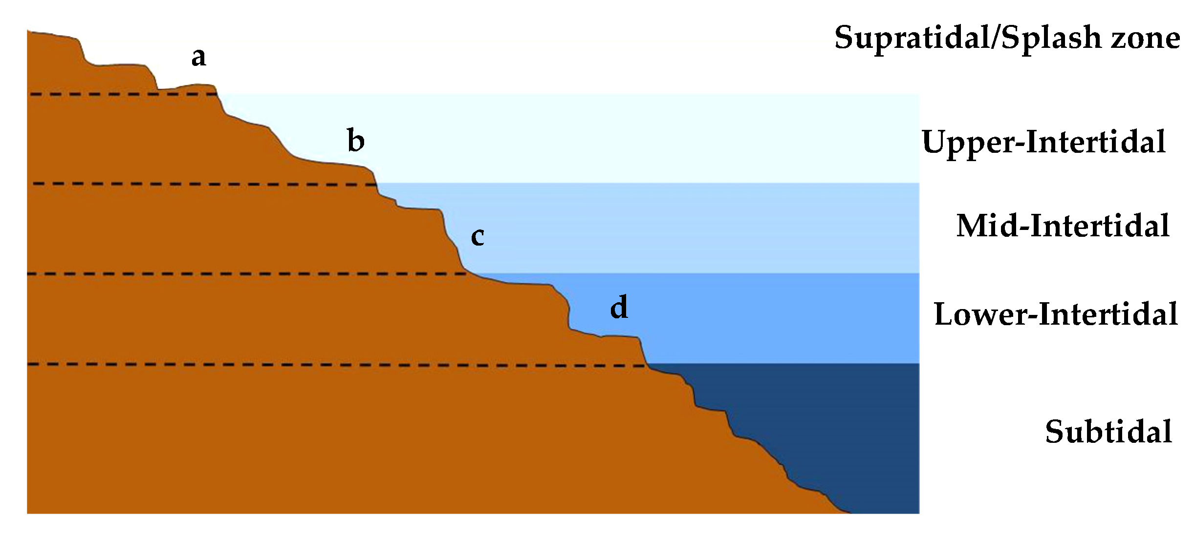 Encyclopedia 05 00176 g002