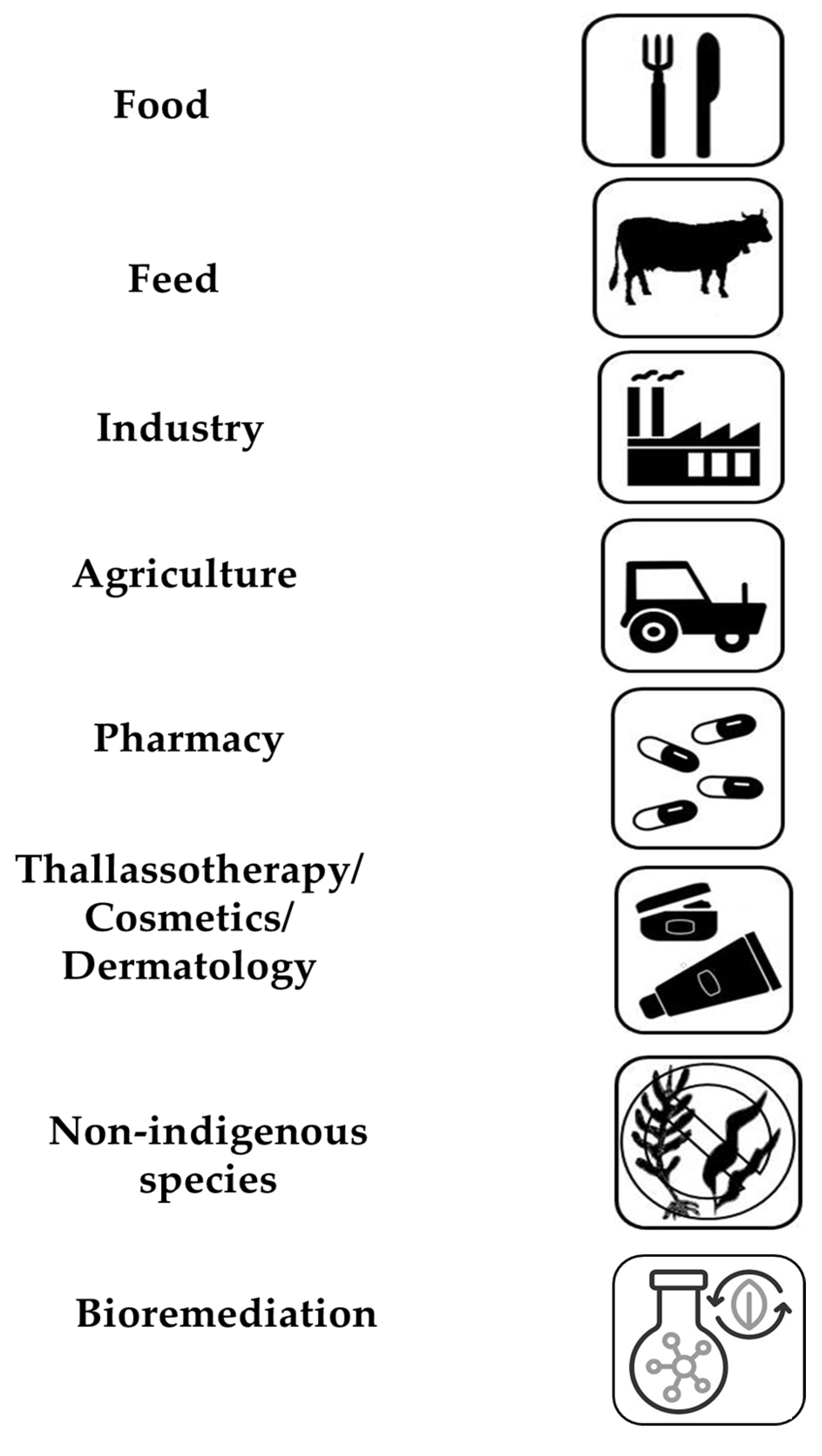 Encyclopedia 05 00176 g003