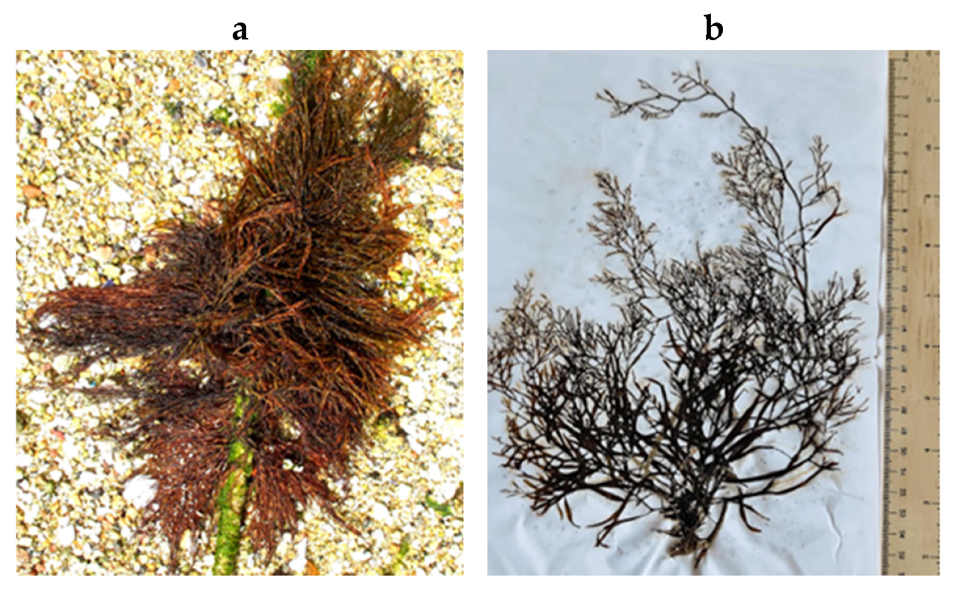 Encyclopedia 05 00176 g069