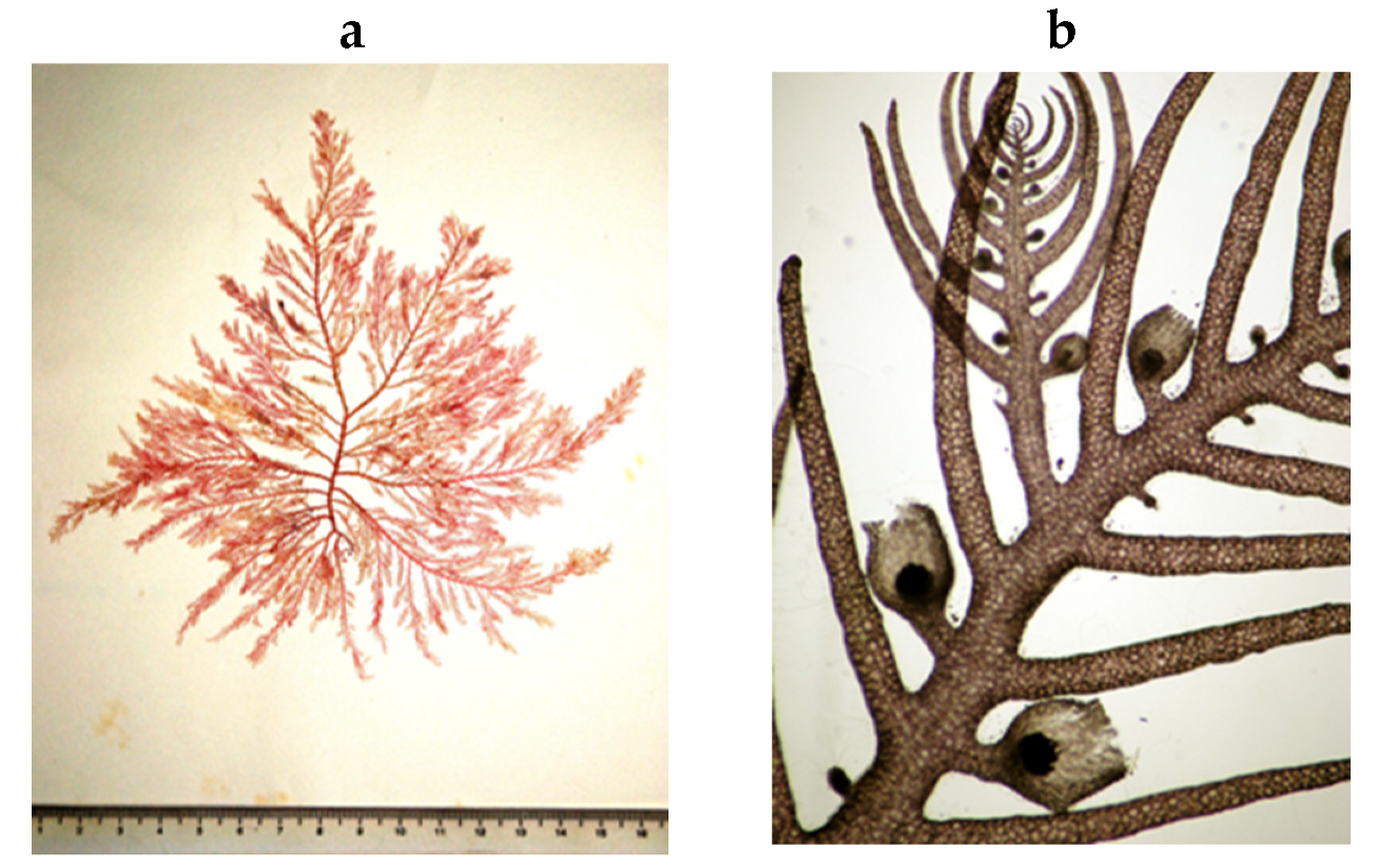 Encyclopedia 05 00176 g087