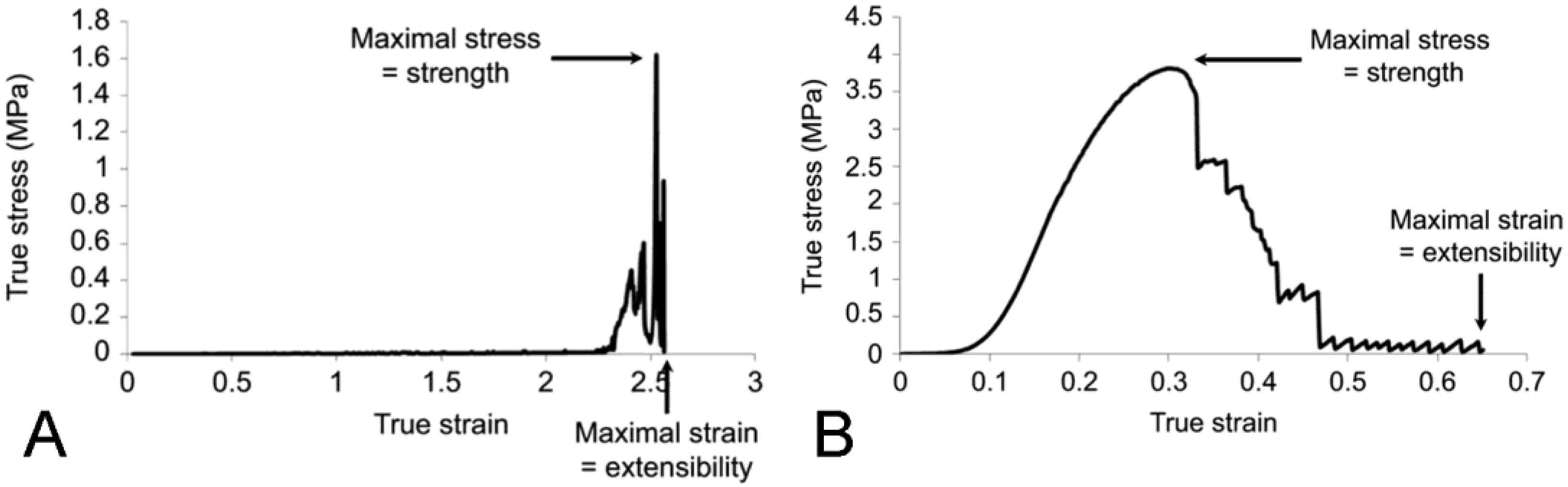 Encyclopedia 05 00185 g006