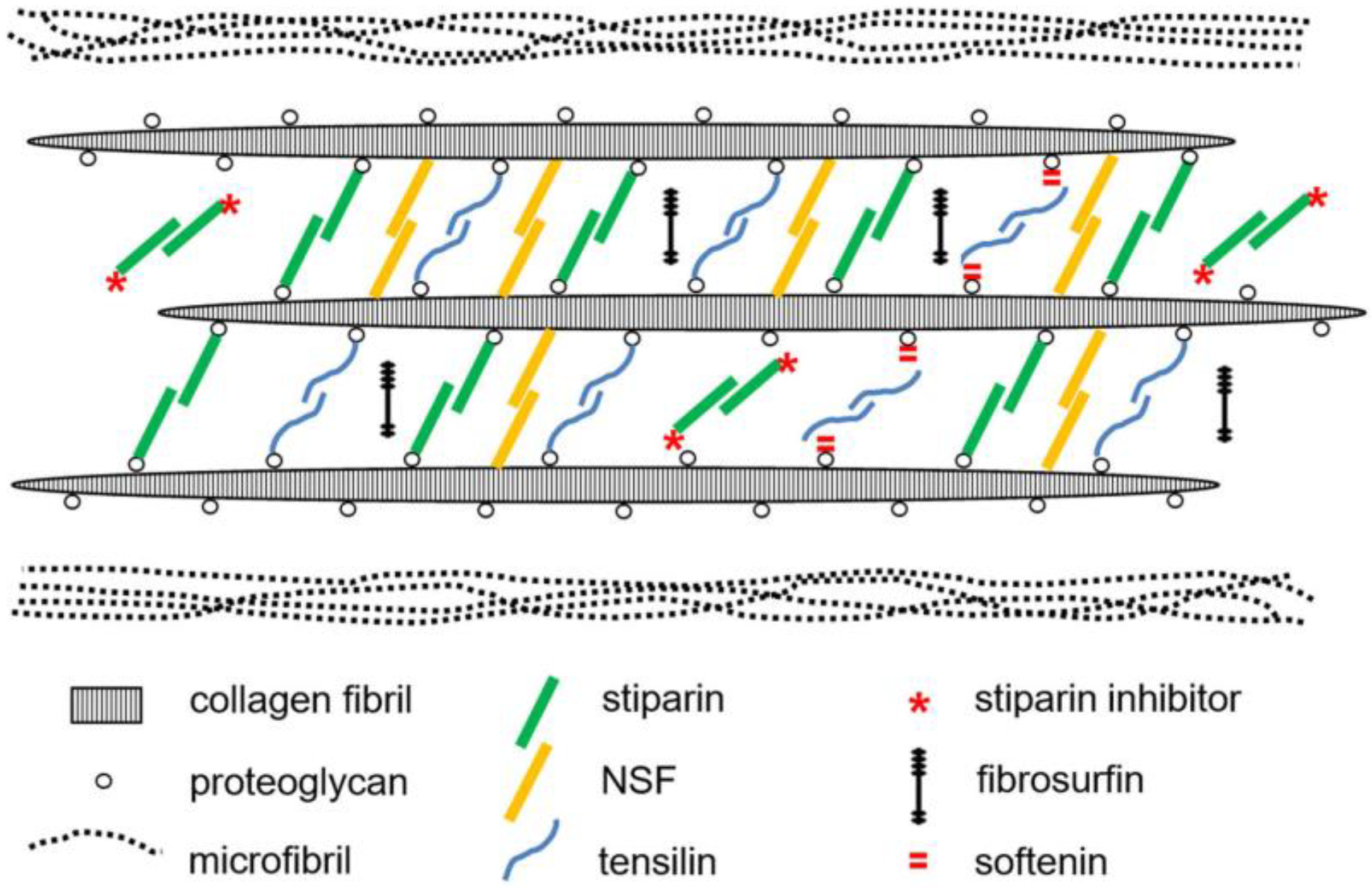 Encyclopedia 05 00185 g007