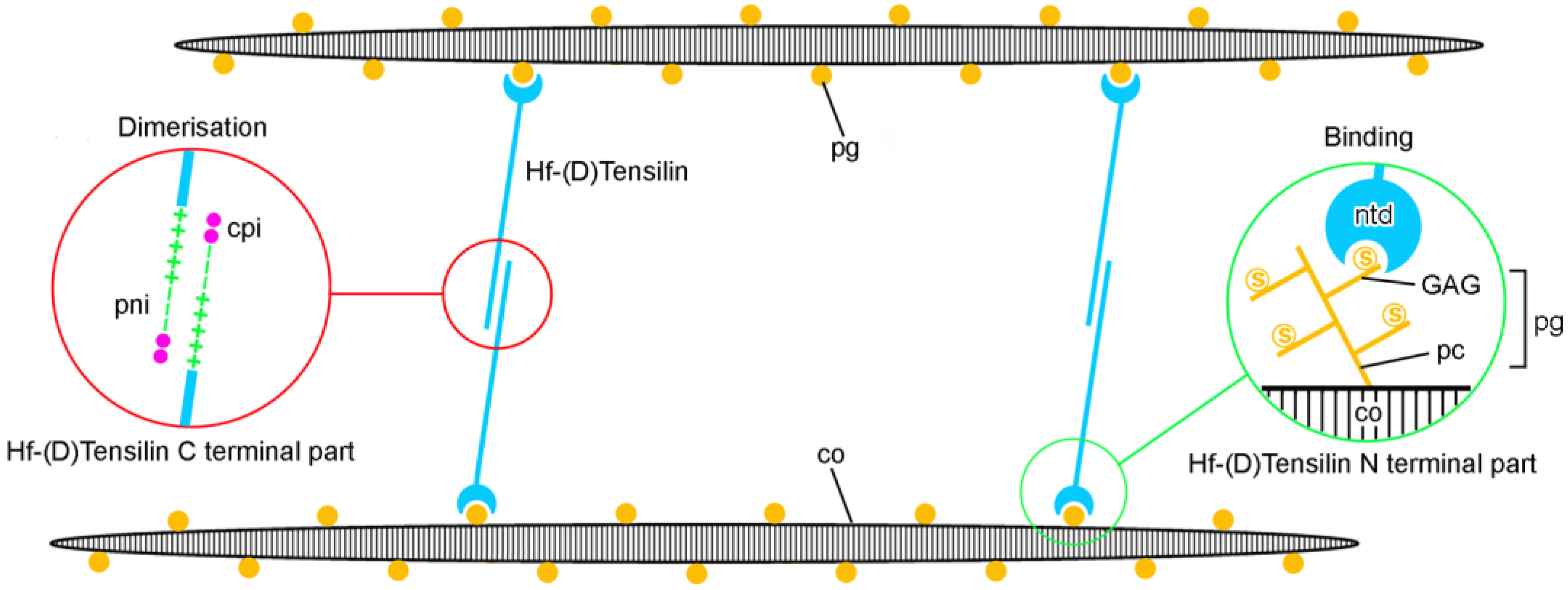 Encyclopedia 05 00185 g008