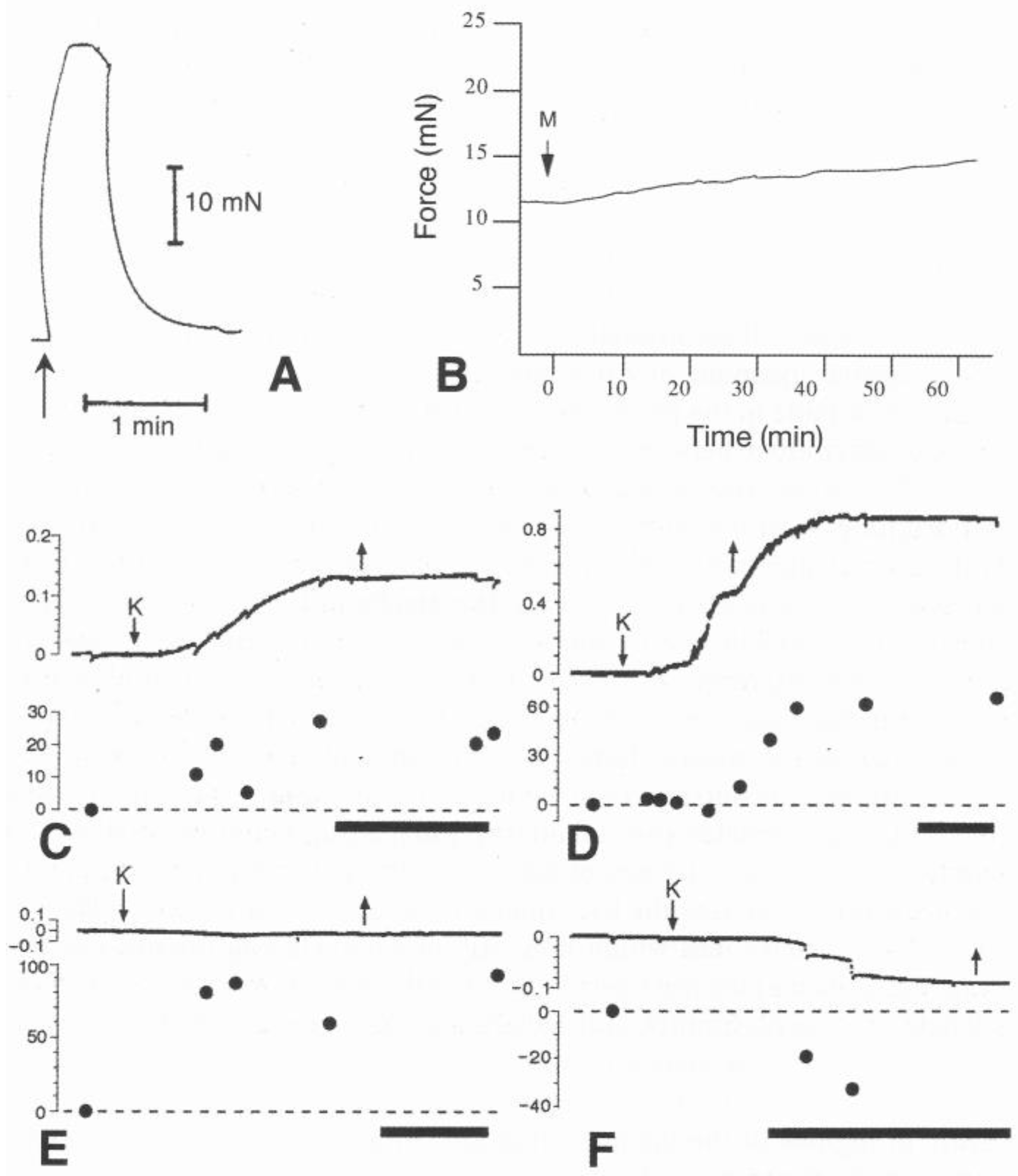 Encyclopedia 05 00185 g009