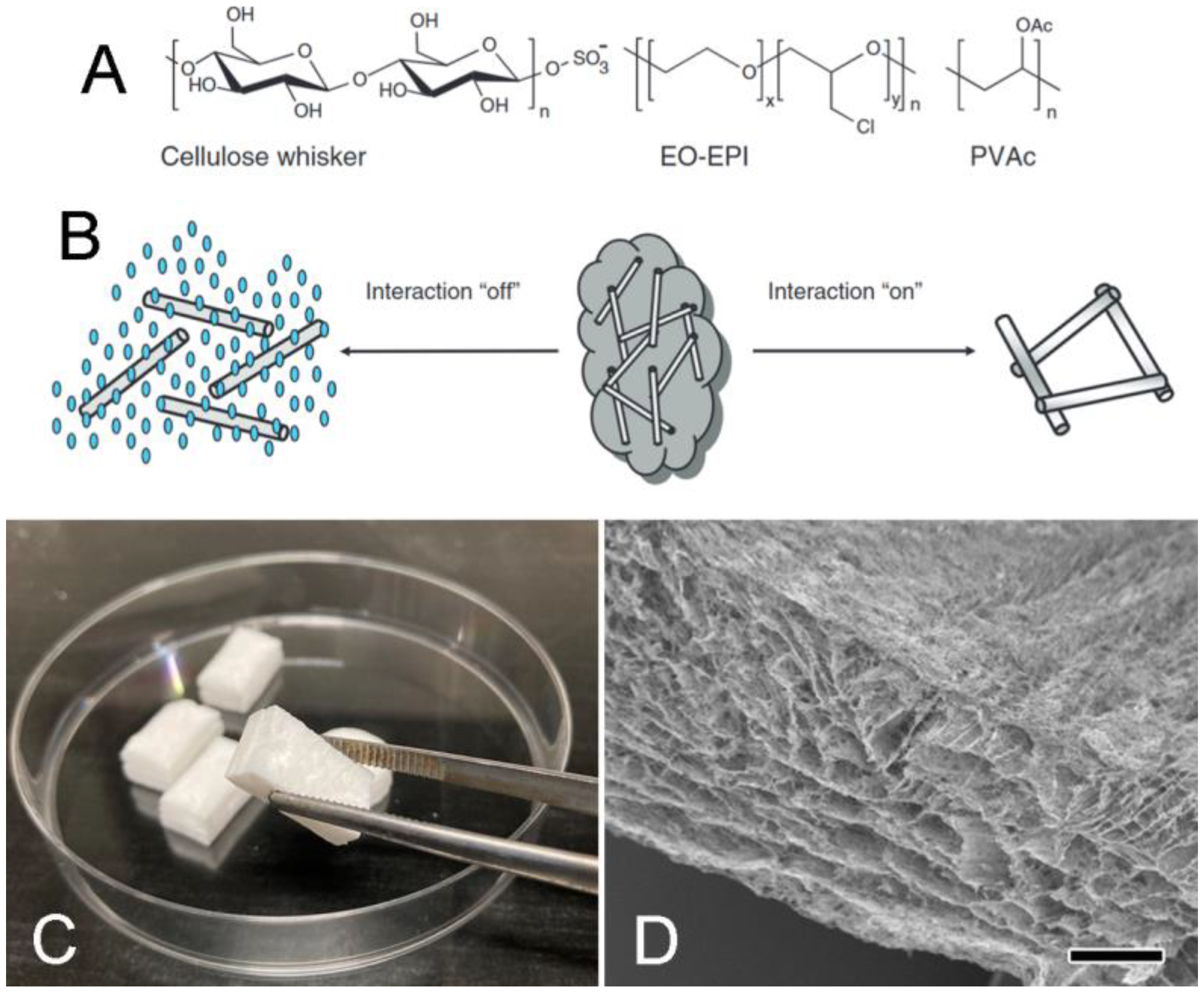 Encyclopedia 05 00185 g013