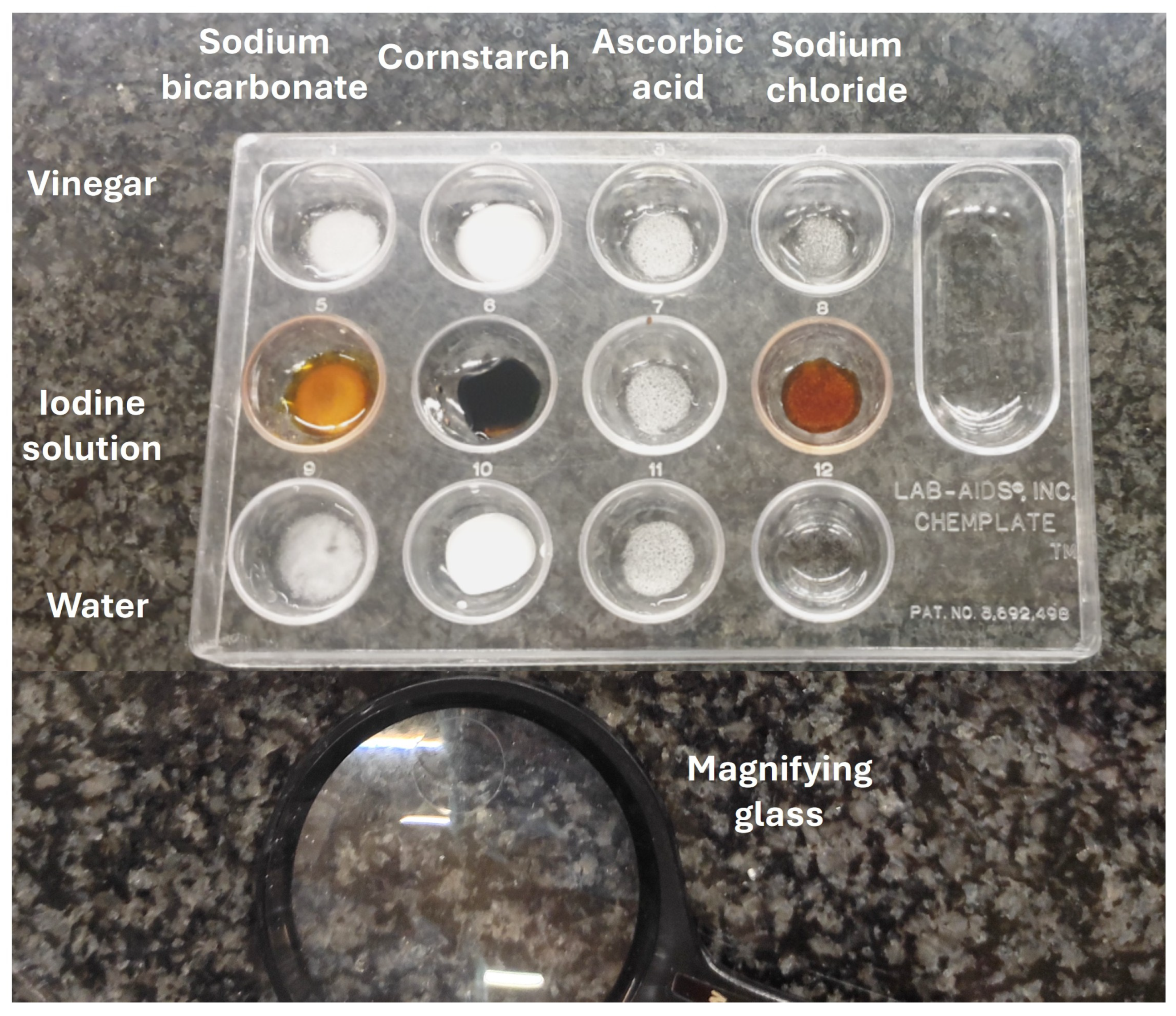 Encyclopedia 05 00193 g005