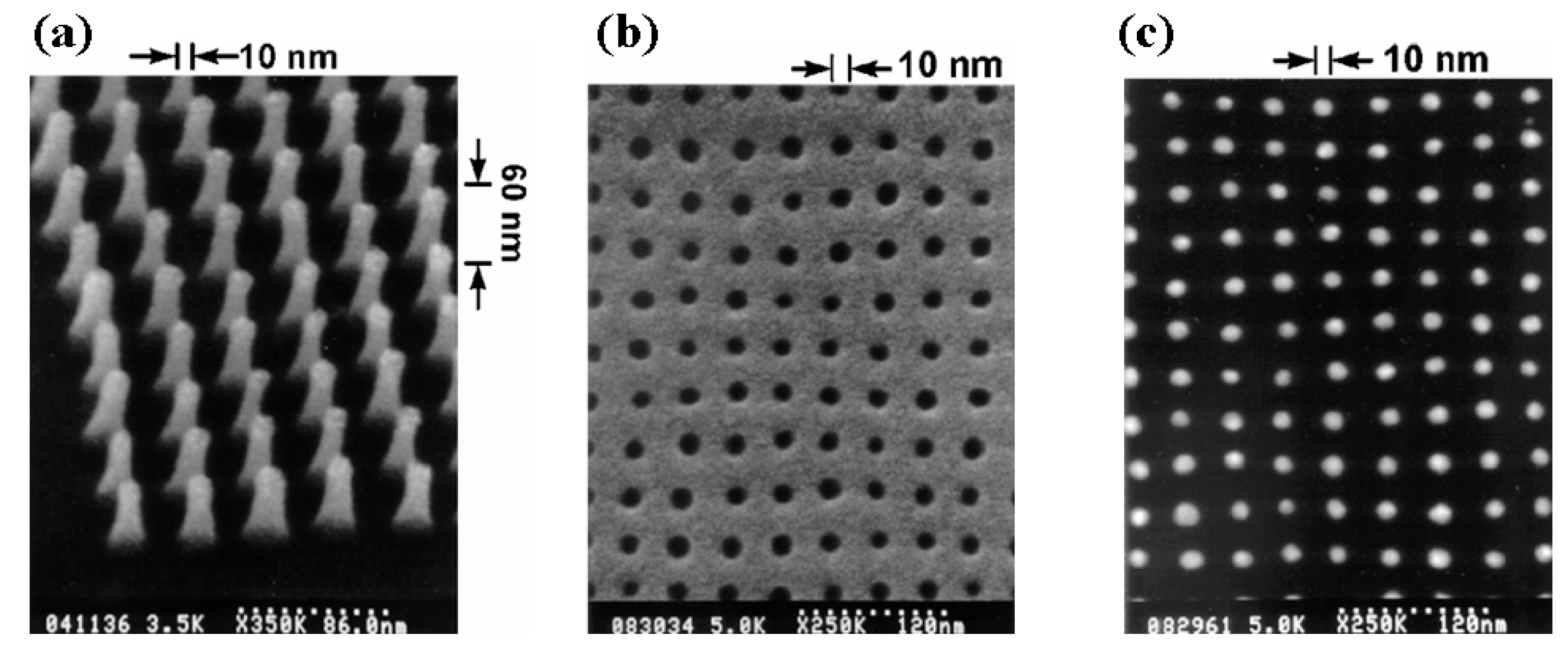 Encyclopedia 05 00197 g001