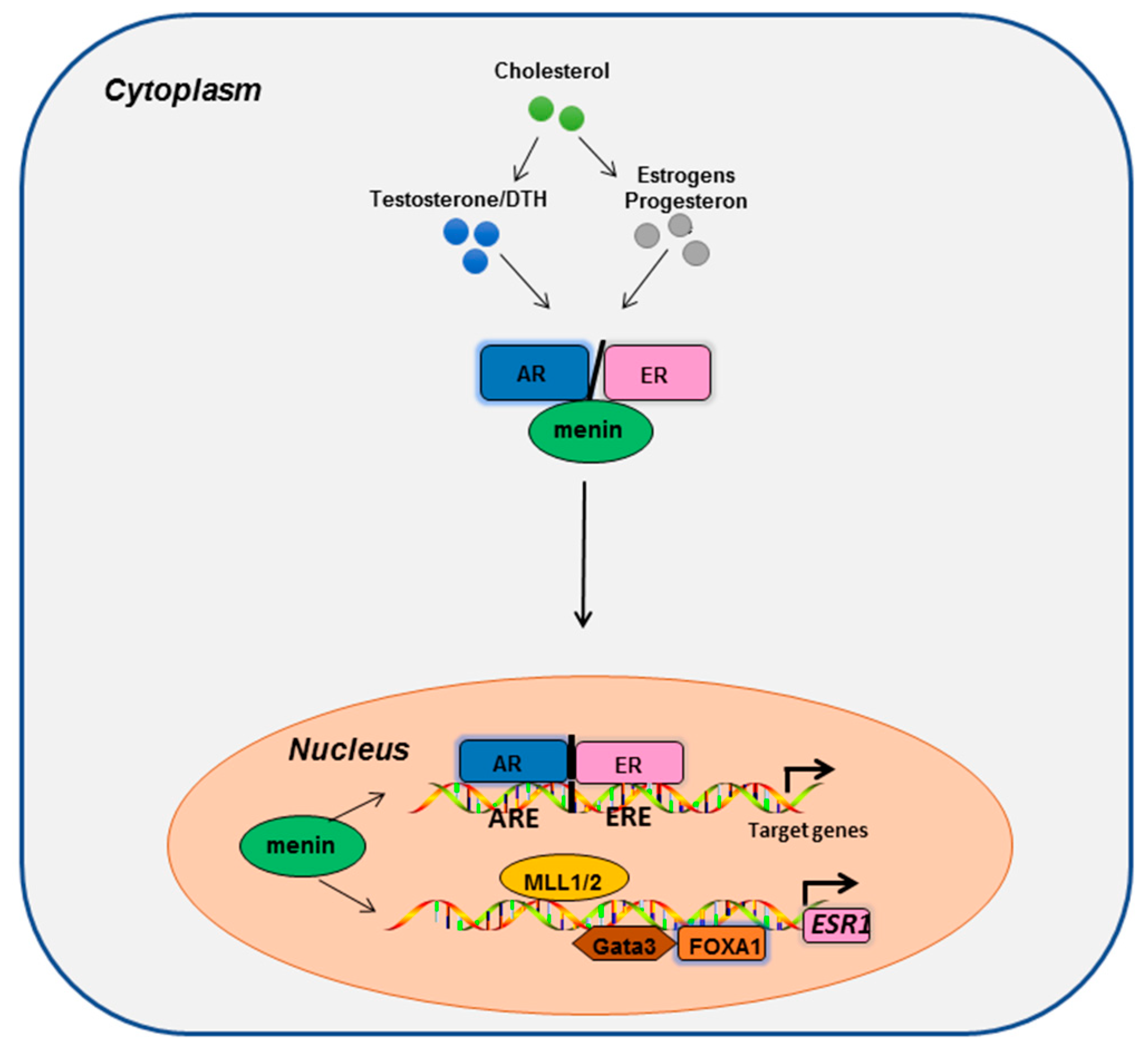 Endocrines 01 00007 g002 Endocrines 01 00007 g002