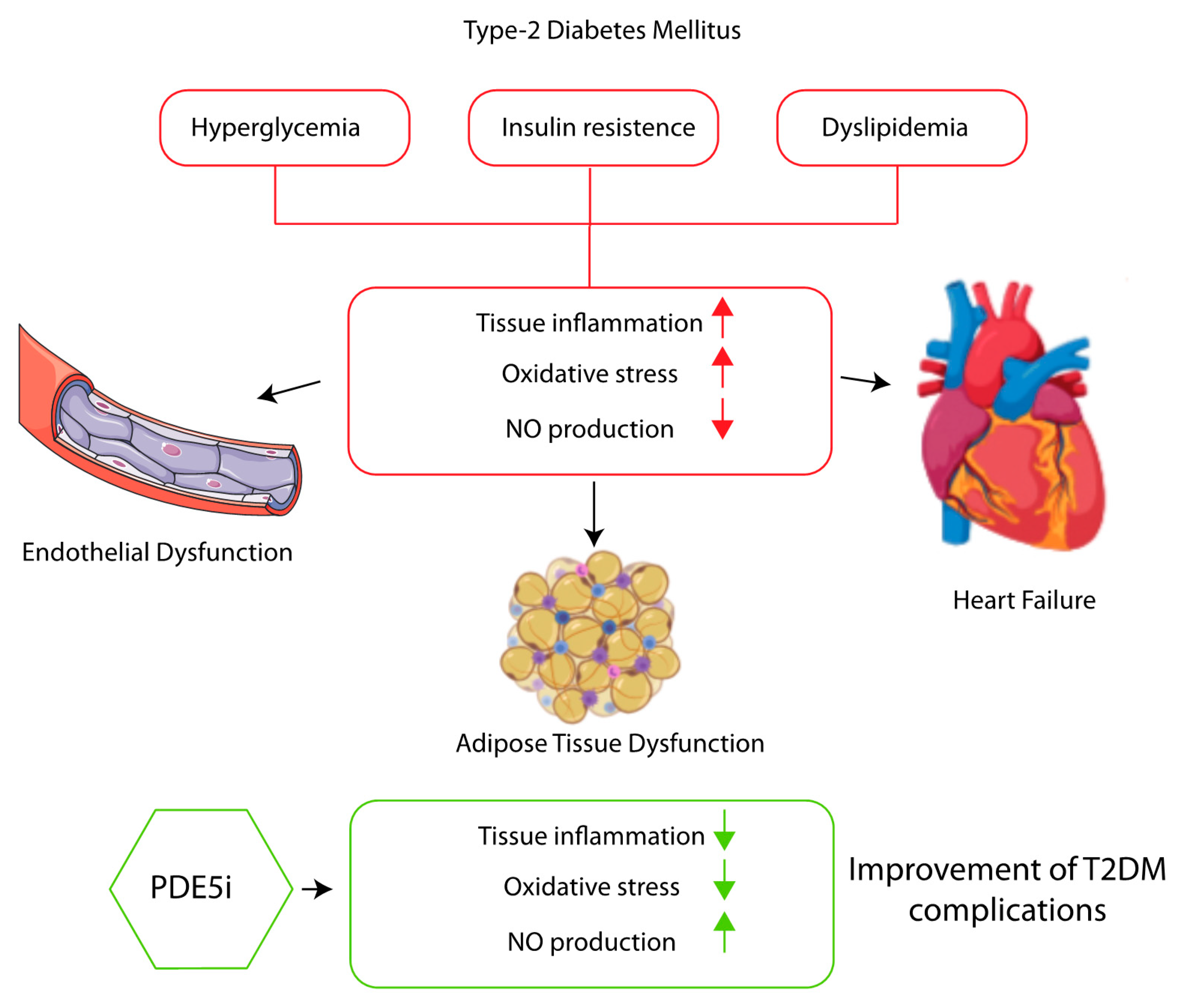 Endocrines 01 00009 g001 Endocrines 01 00009 g001