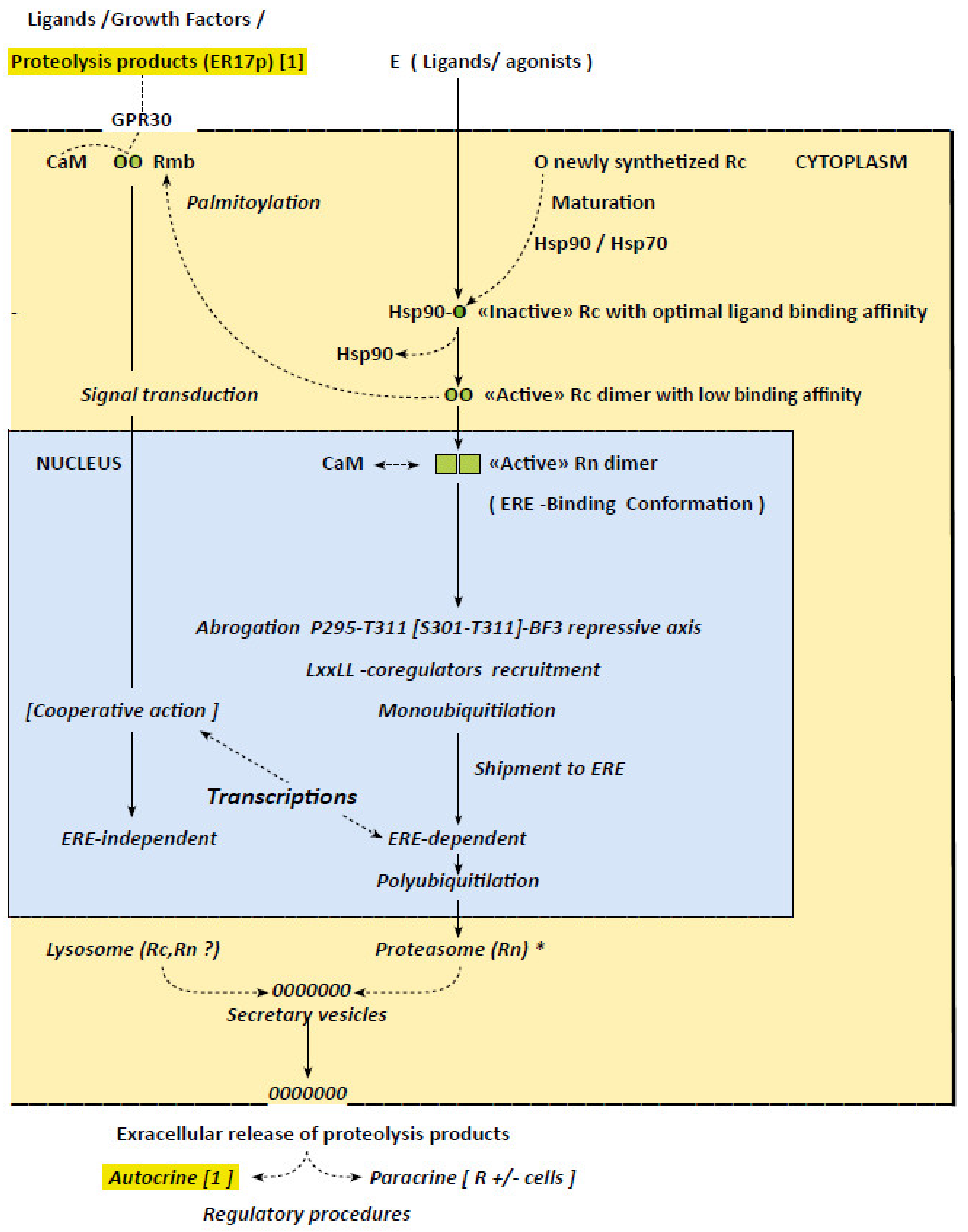 Endocrines 02 00001 g001