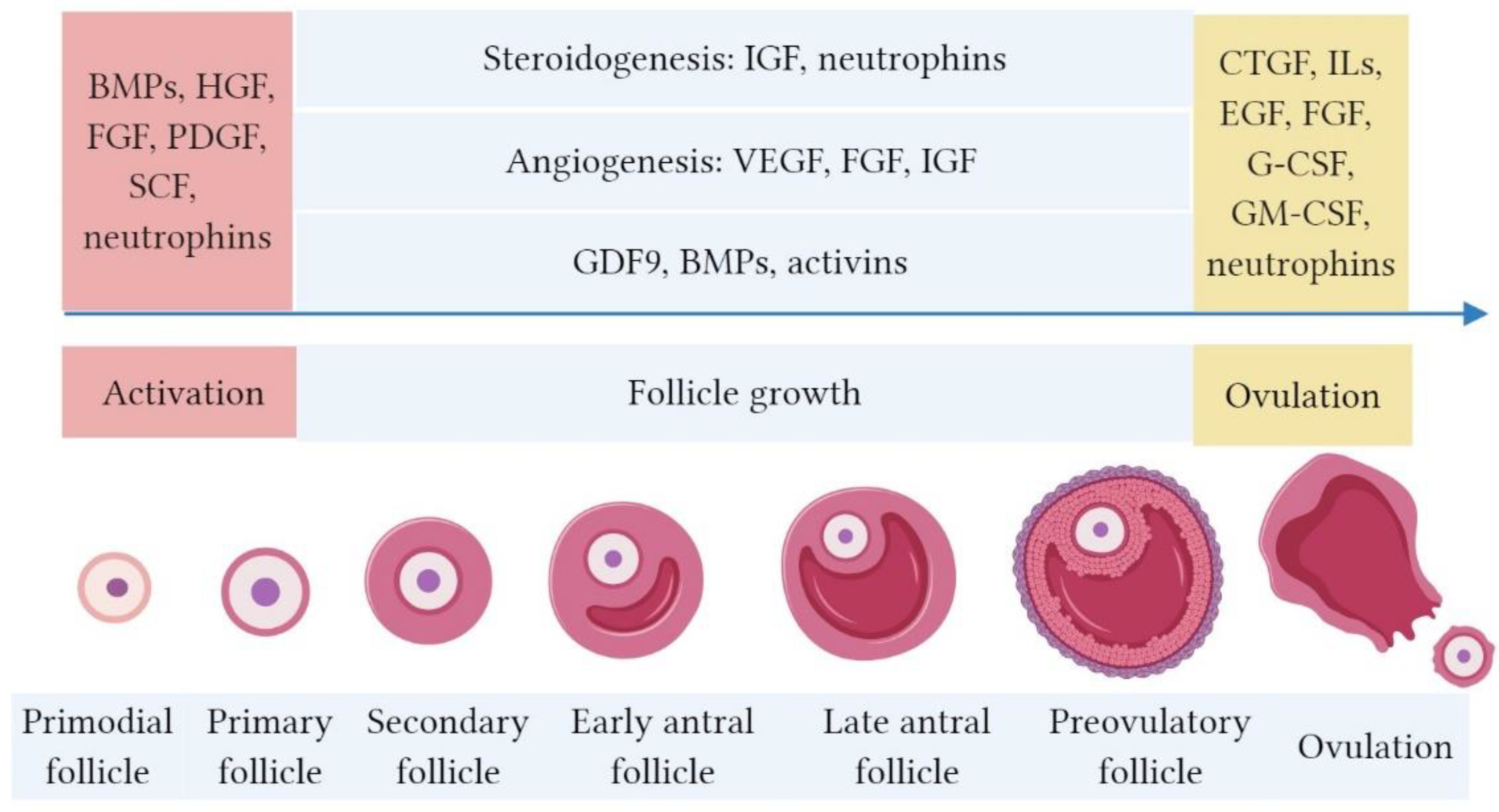 Endocrines 02 00002 g001