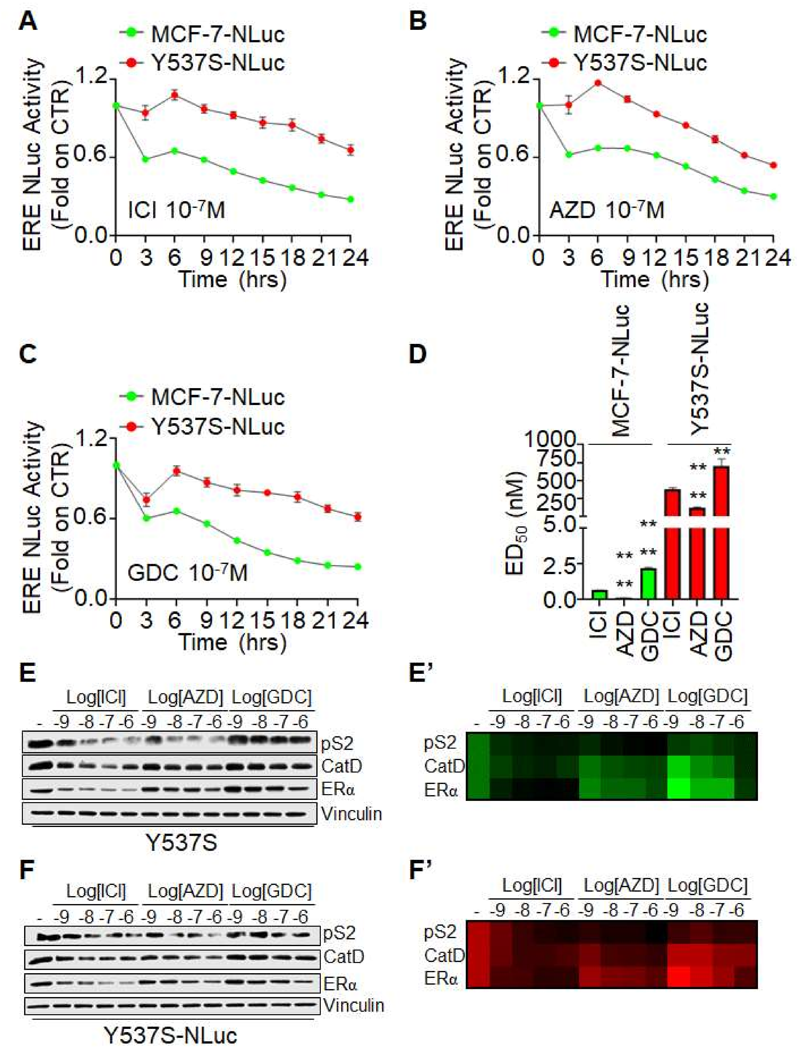 Endocrines 02 00006 g002