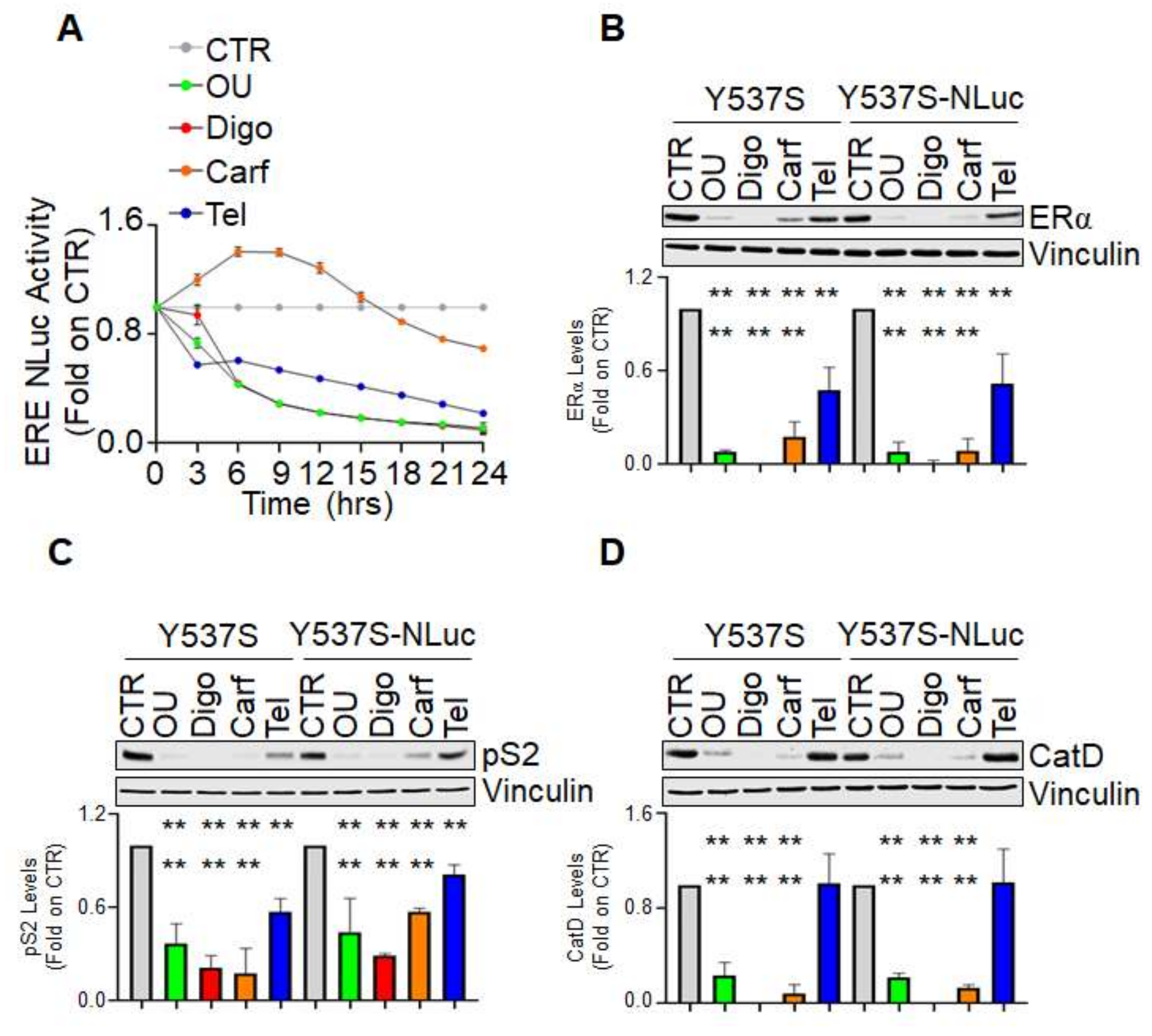 Endocrines 02 00006 g003