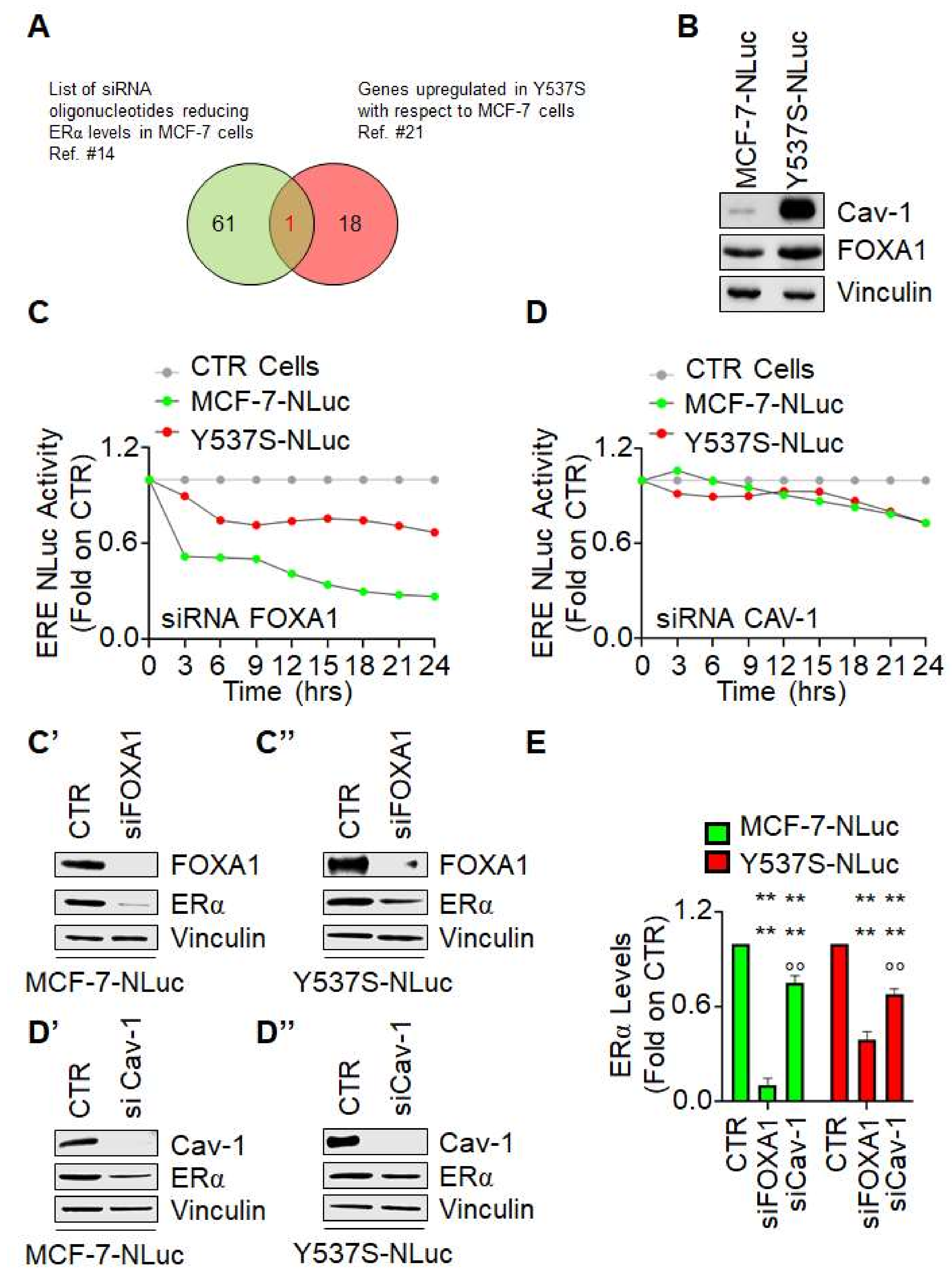 Endocrines 02 00006 g004