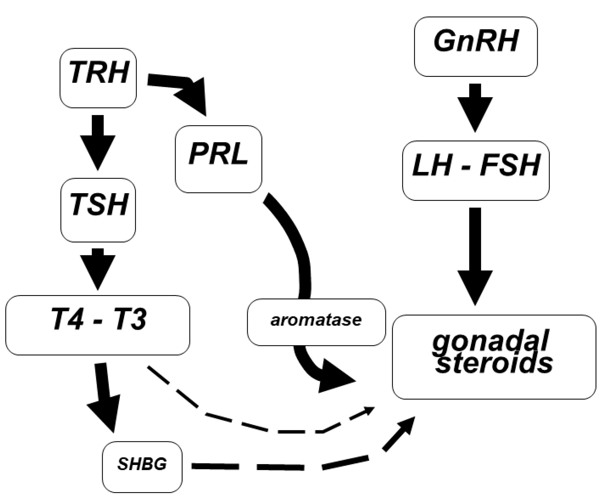 Endocrines 02 00021 g002 Endocrines 02 00021 g002