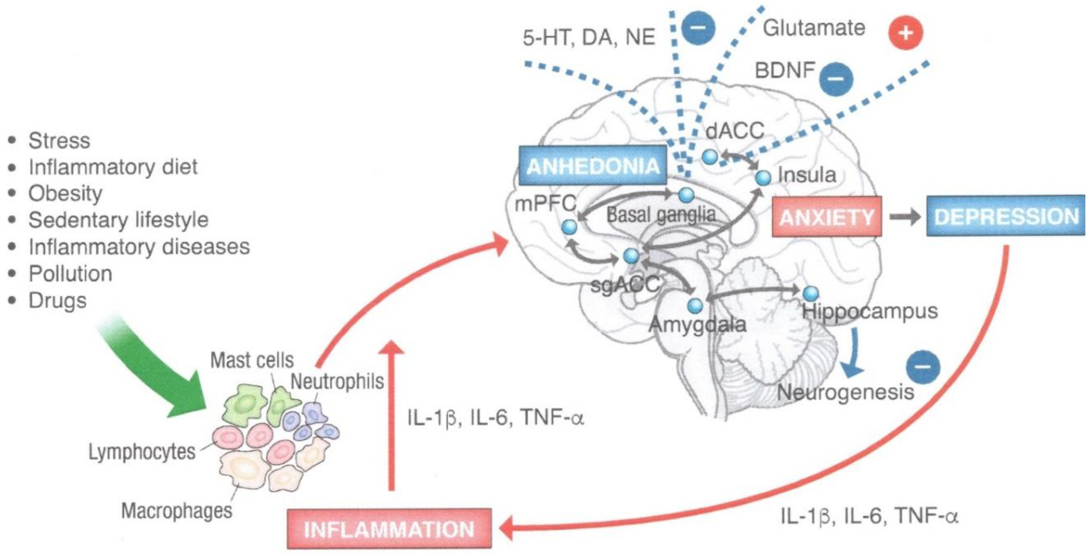 Endocrines 02 00022 g001