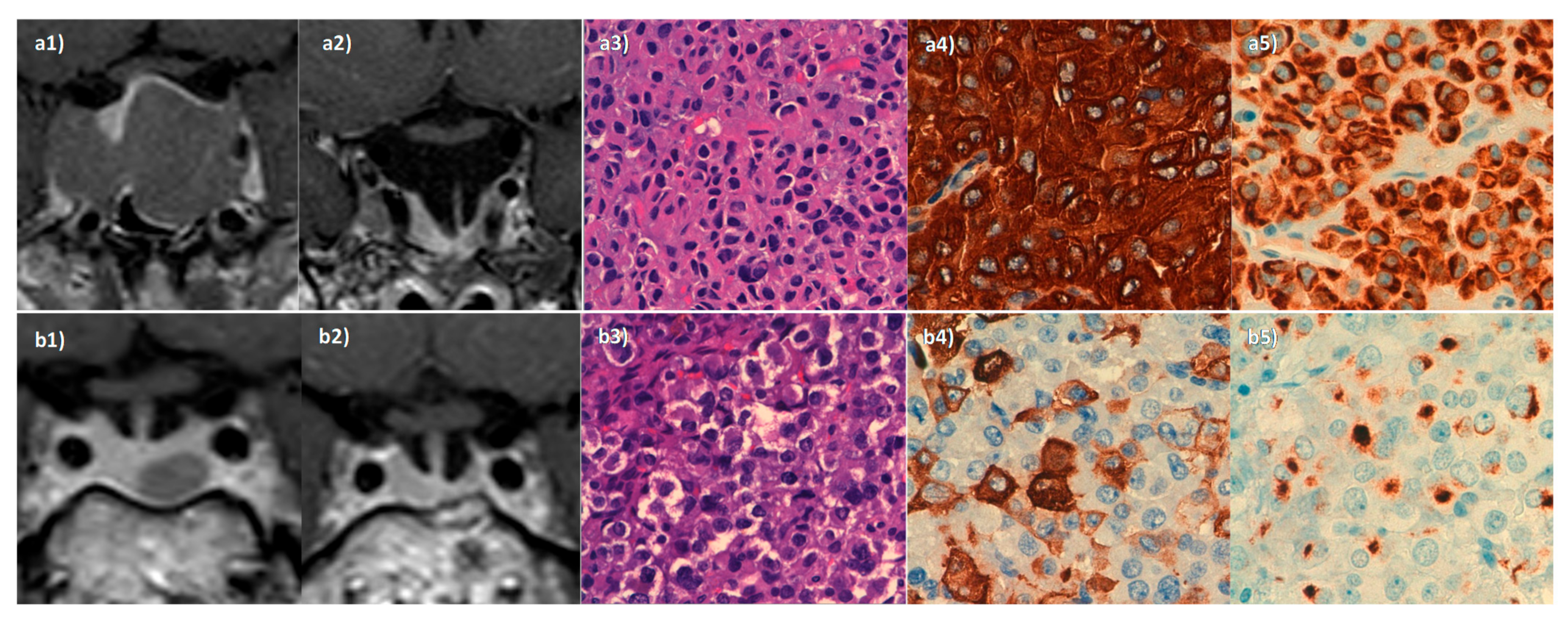 Endocrines 02 00023 g002