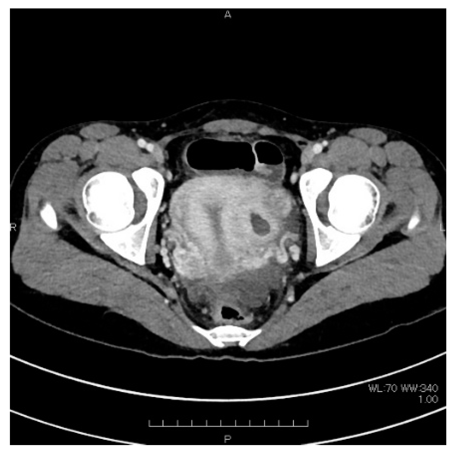 Endocrines 02 00026 g002 550