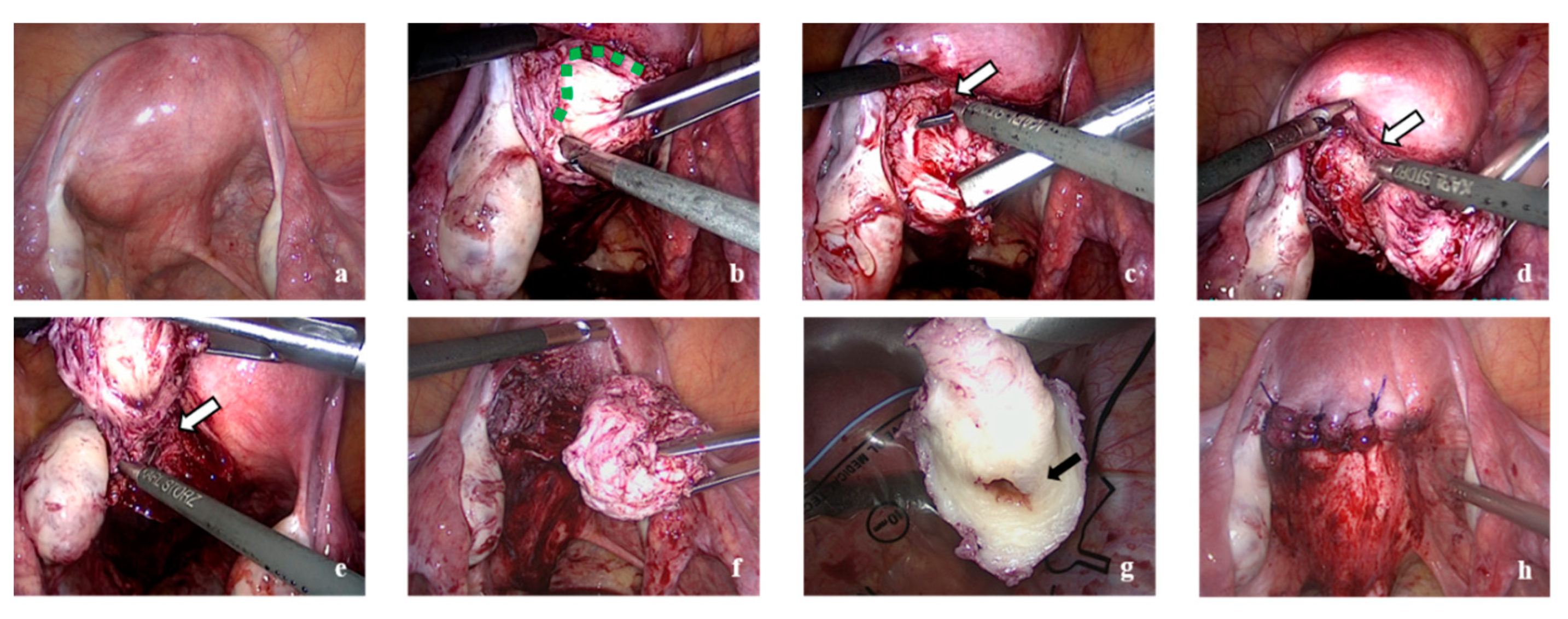 Endocrines 02 00026 g004 550