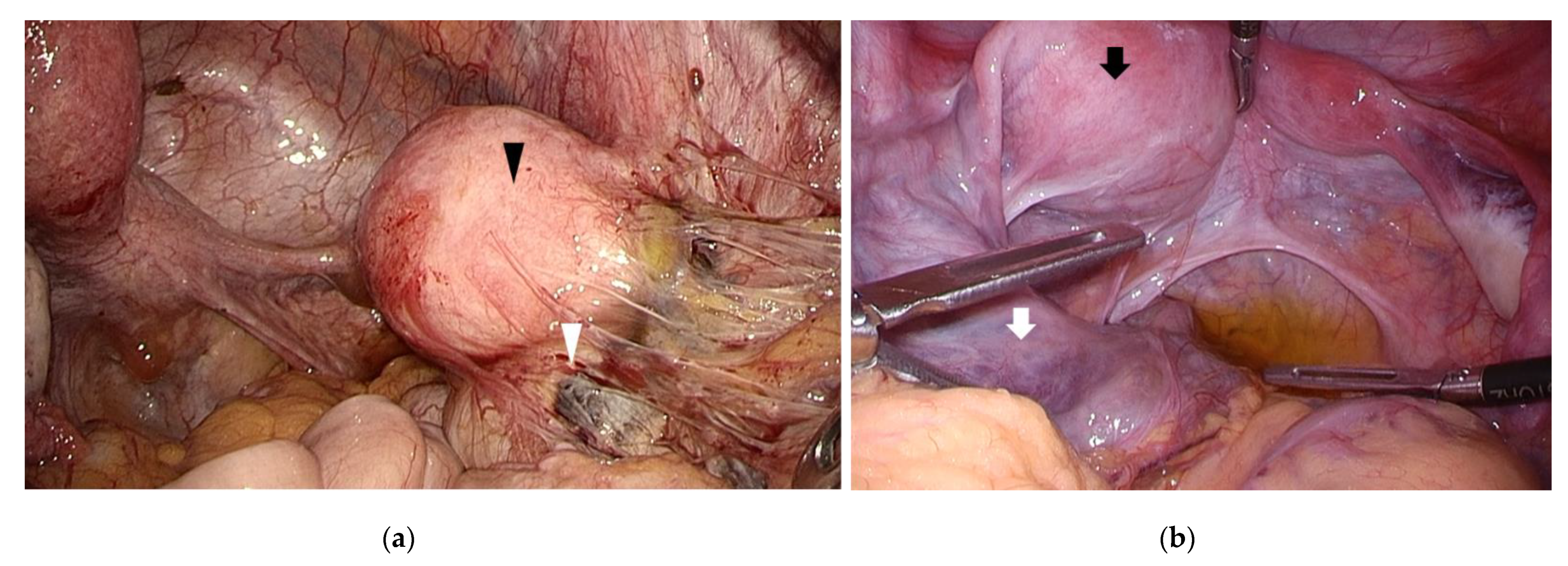 Endocrines 02 00028 g002