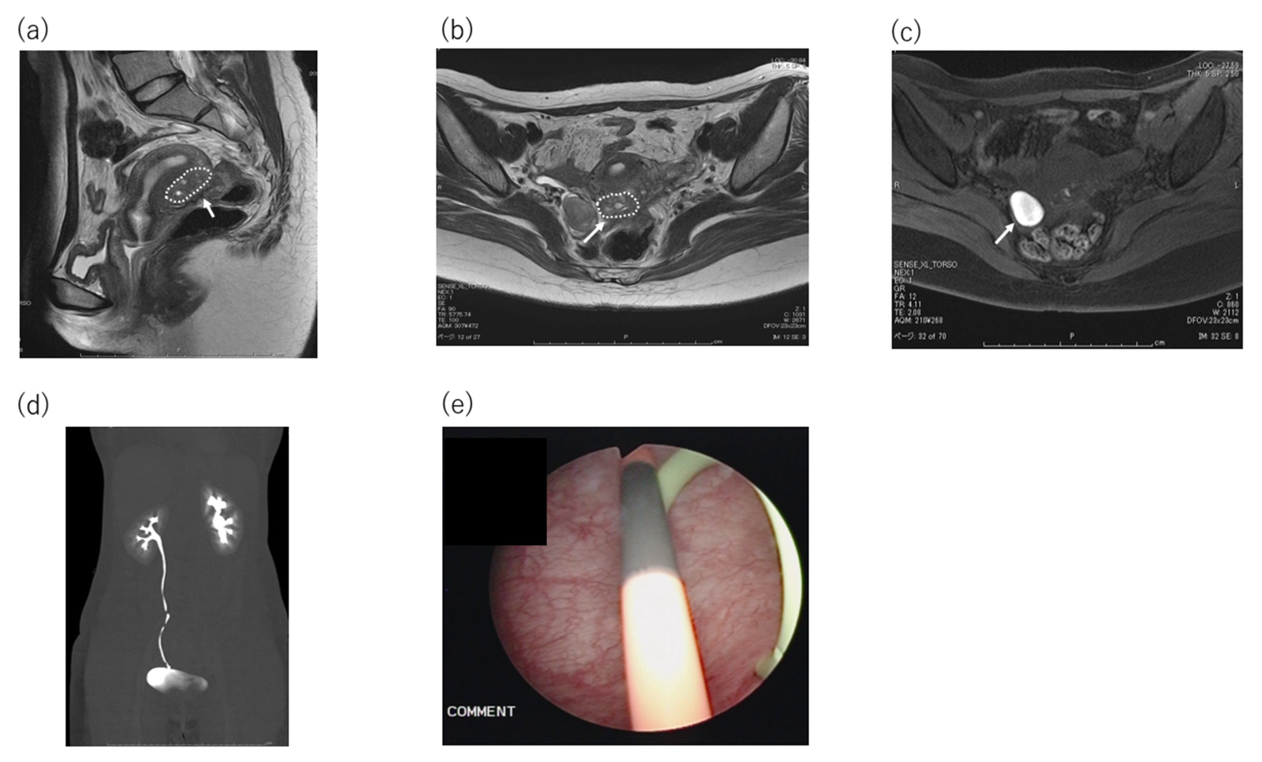 Endocrines 02 00032 g001