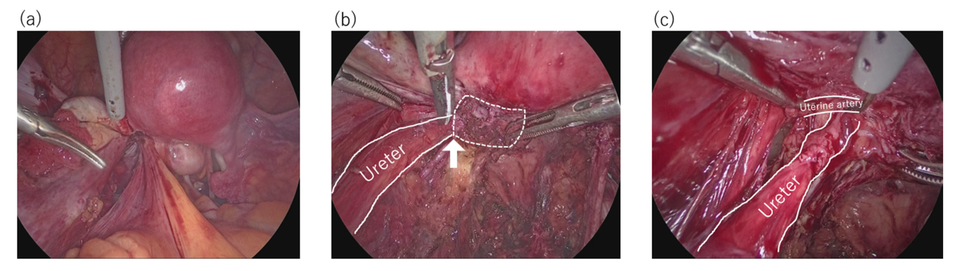 Endocrines 02 00032 g002