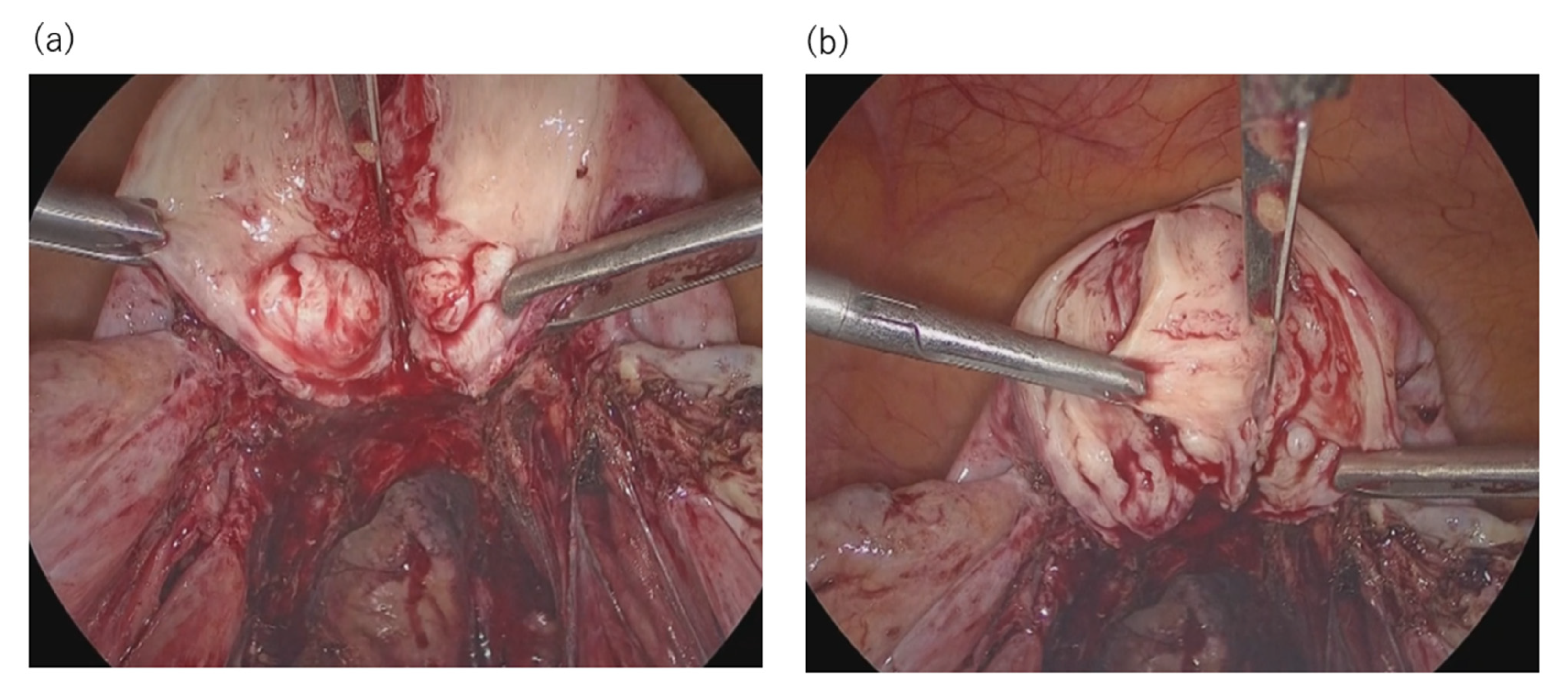 Endocrines 02 00032 g003