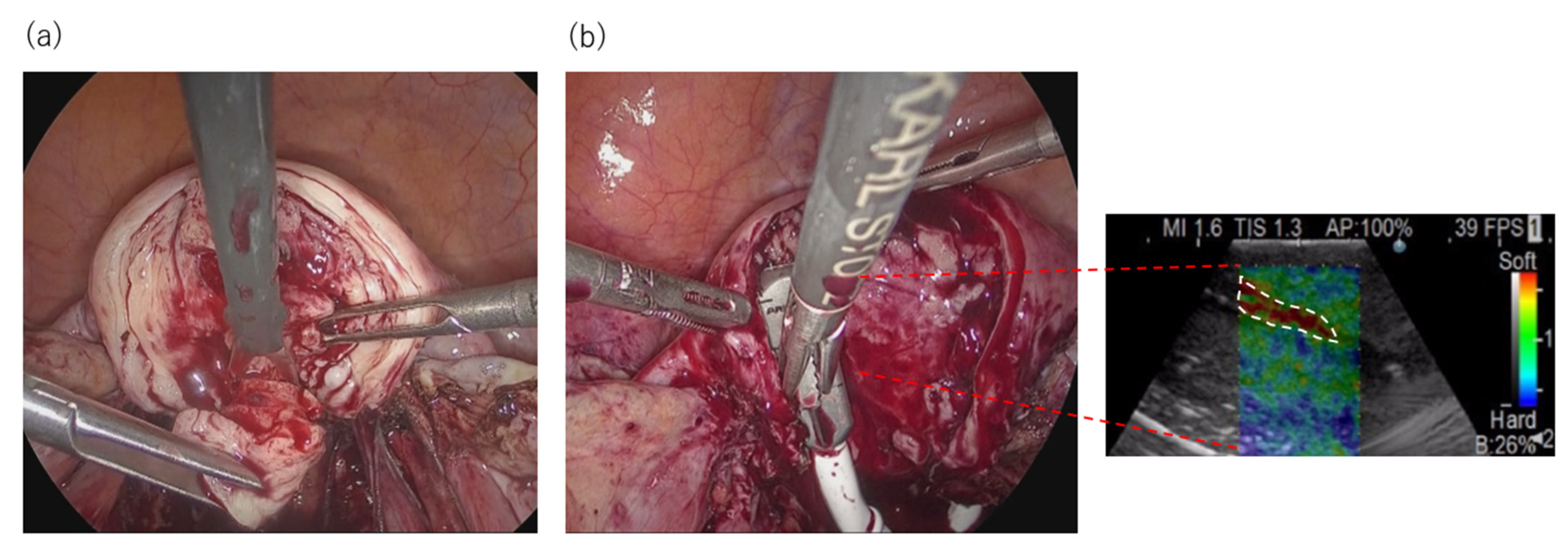 Endocrines 02 00032 g004