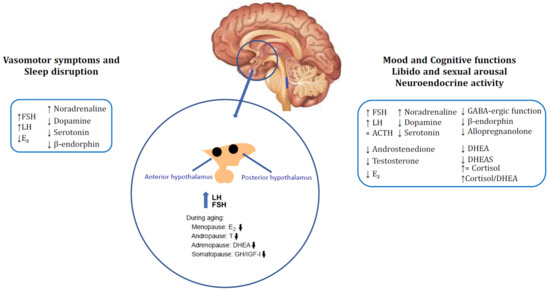 The peri-menopause in a woman's life: a systemic inflammatory