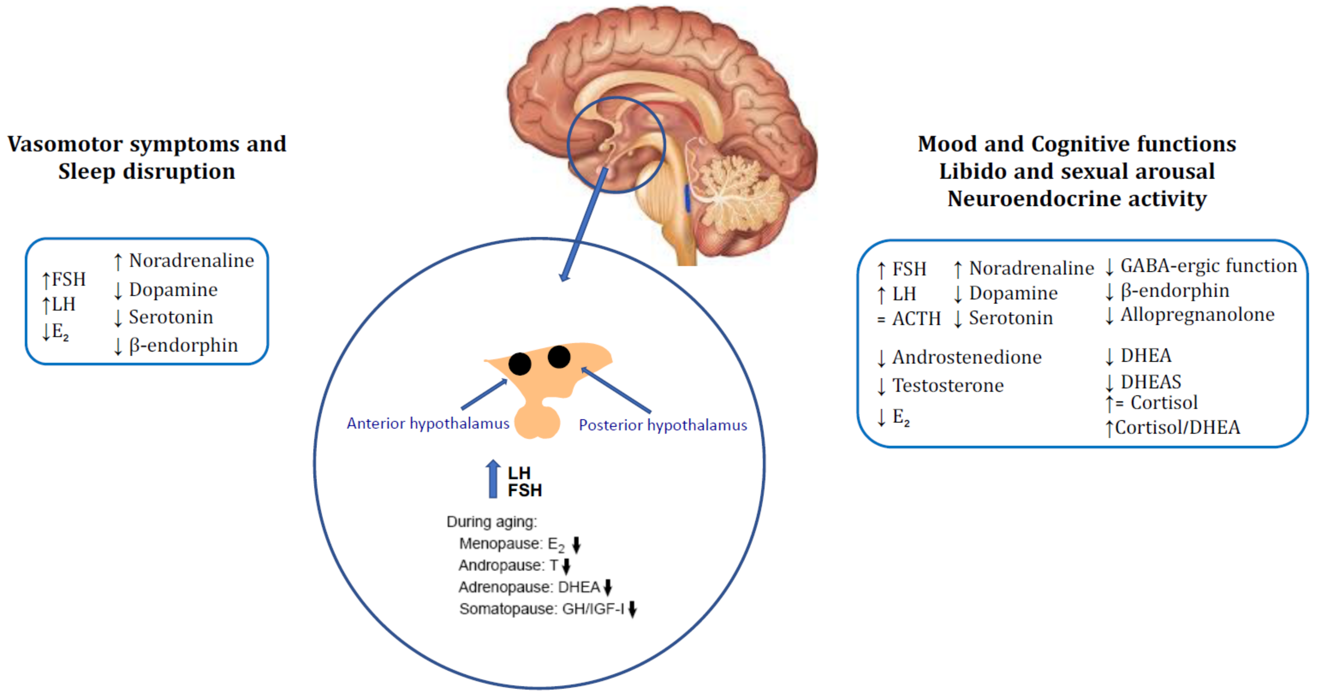 Endocrines 02 00036 g001