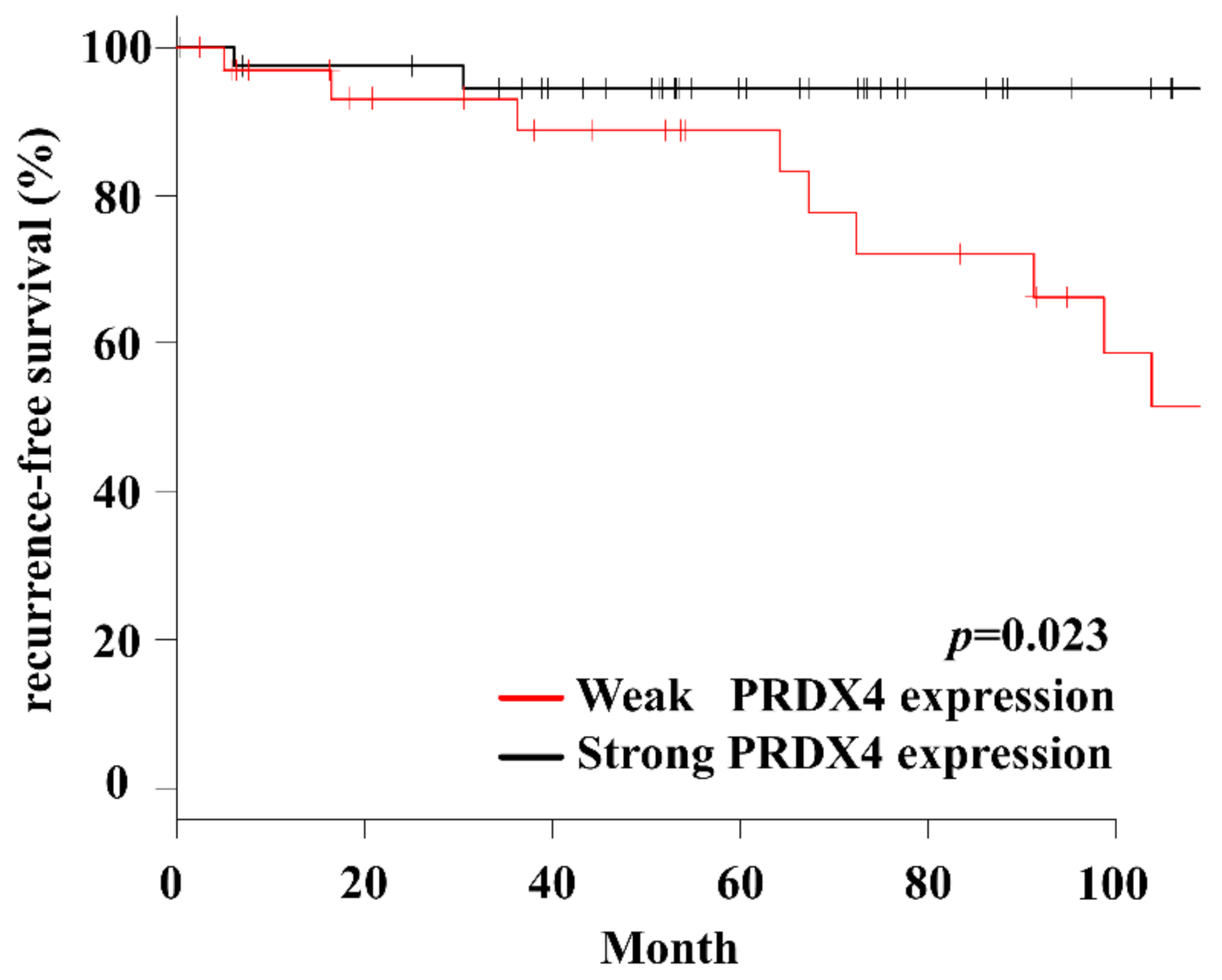 Endocrines 03 00013 g003 Endocrines 03 00013 g003