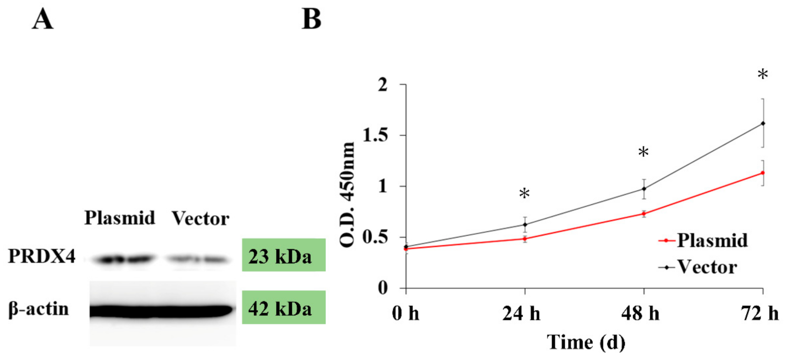 Endocrines 03 00013 g004 Endocrines 03 00013 g004