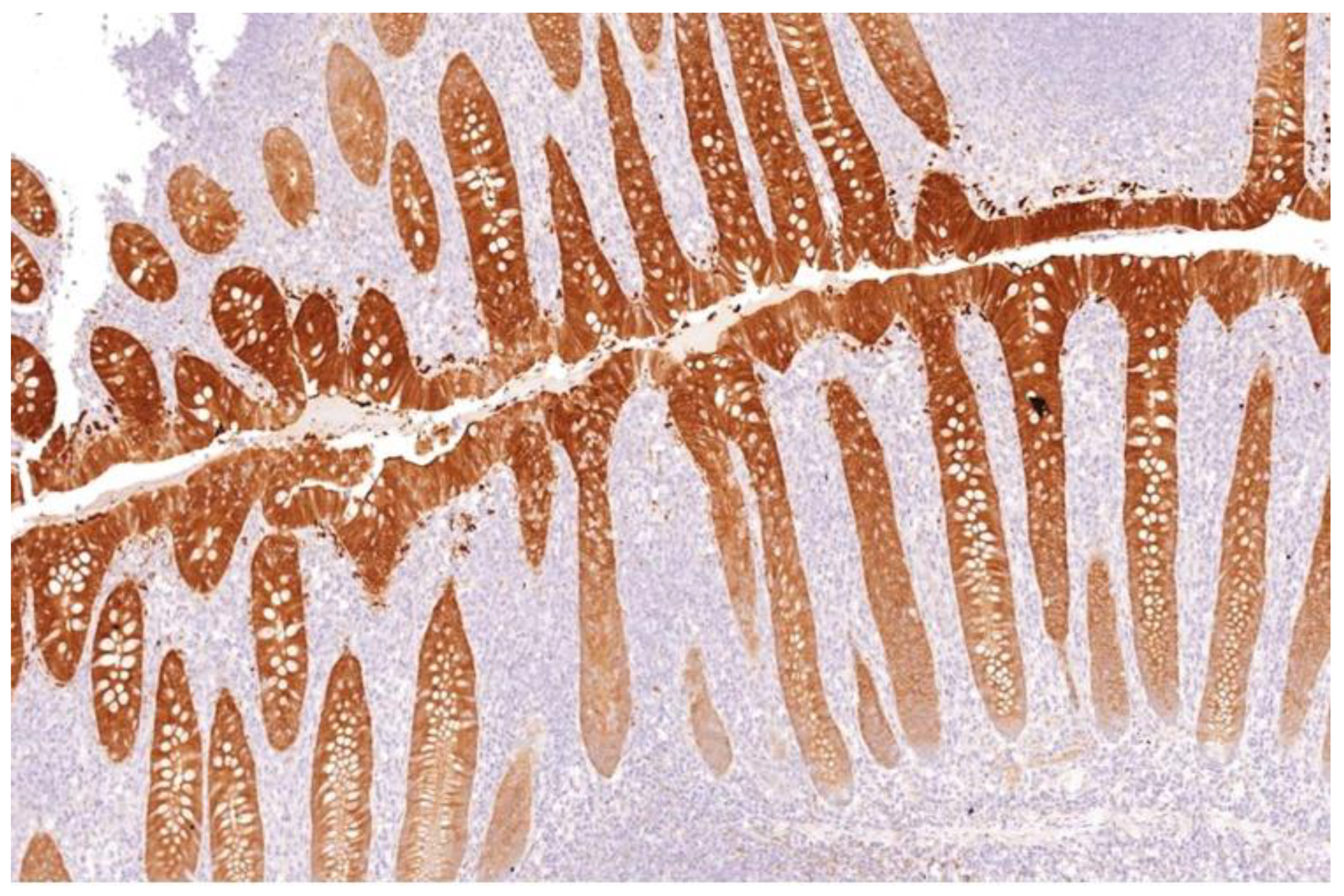 Endocrines 03 00021 g001