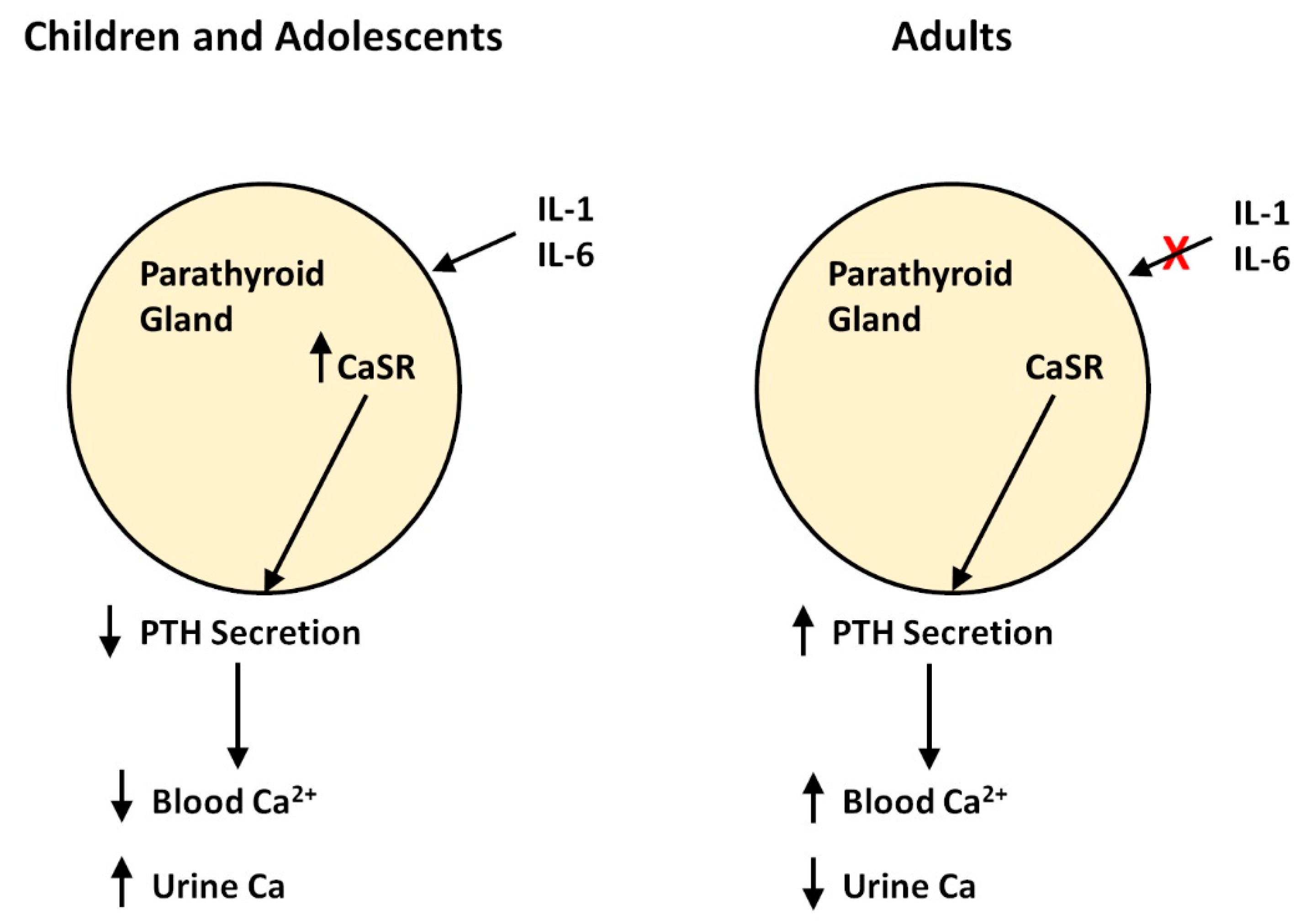 Endocrines 03 00036 g001