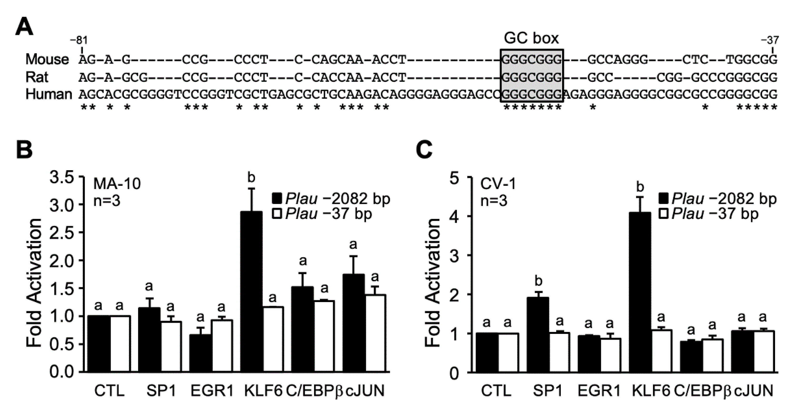 Endocrines 03 00037 g004 Endocrines 03 00037 g004