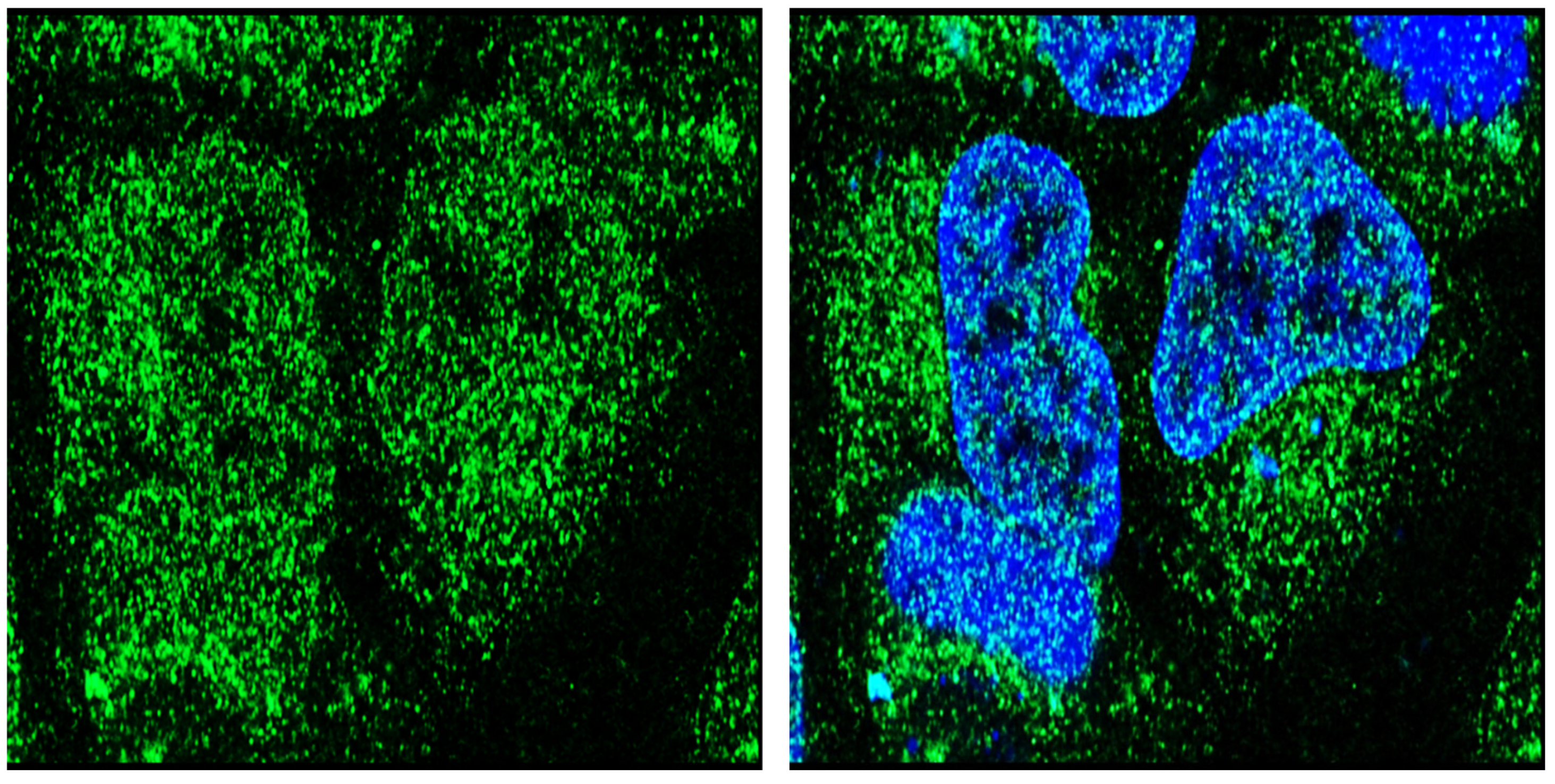 Endocrines 03 00057 g002 Endocrines 03 00057 g002