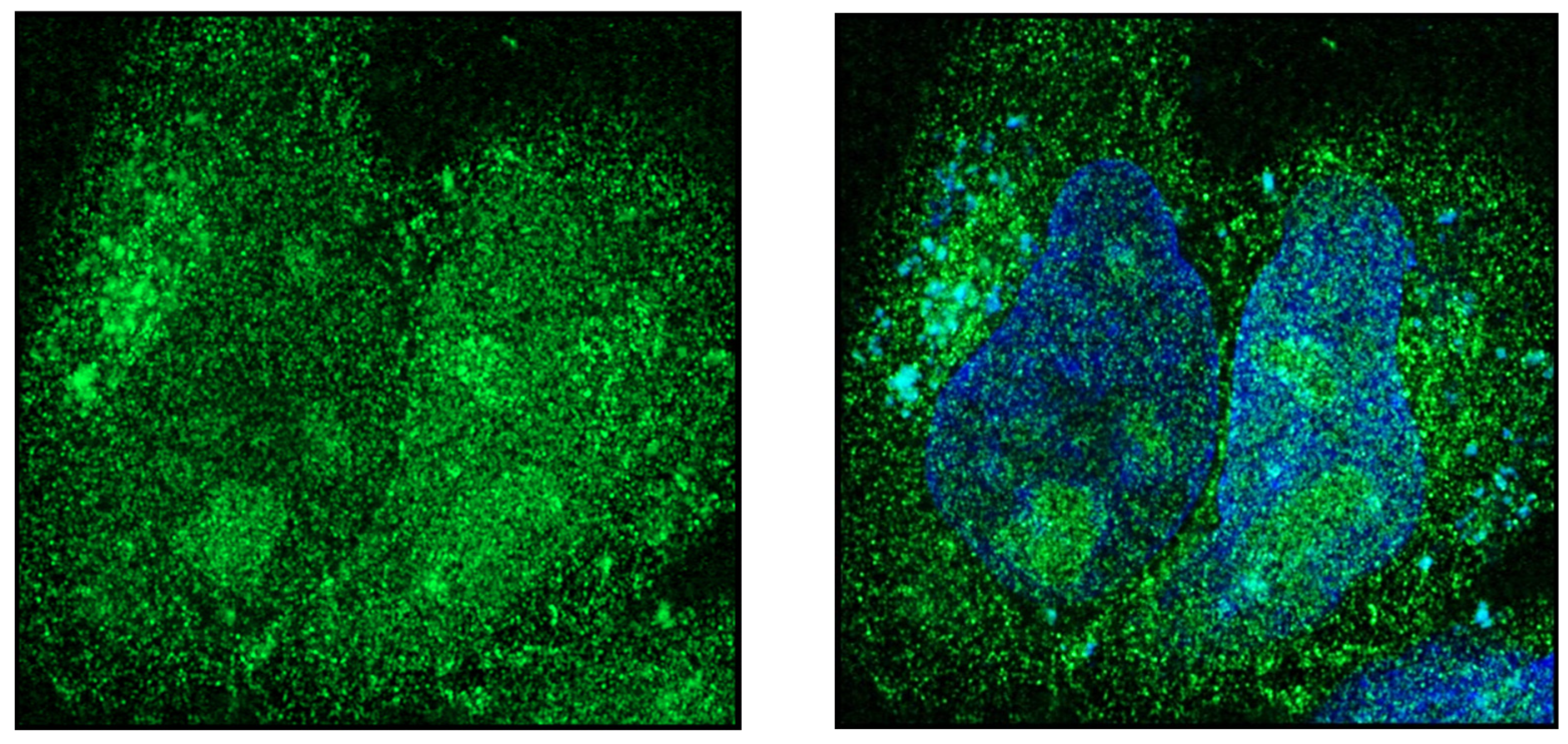 Endocrines 03 00057 g004 Endocrines 03 00057 g004