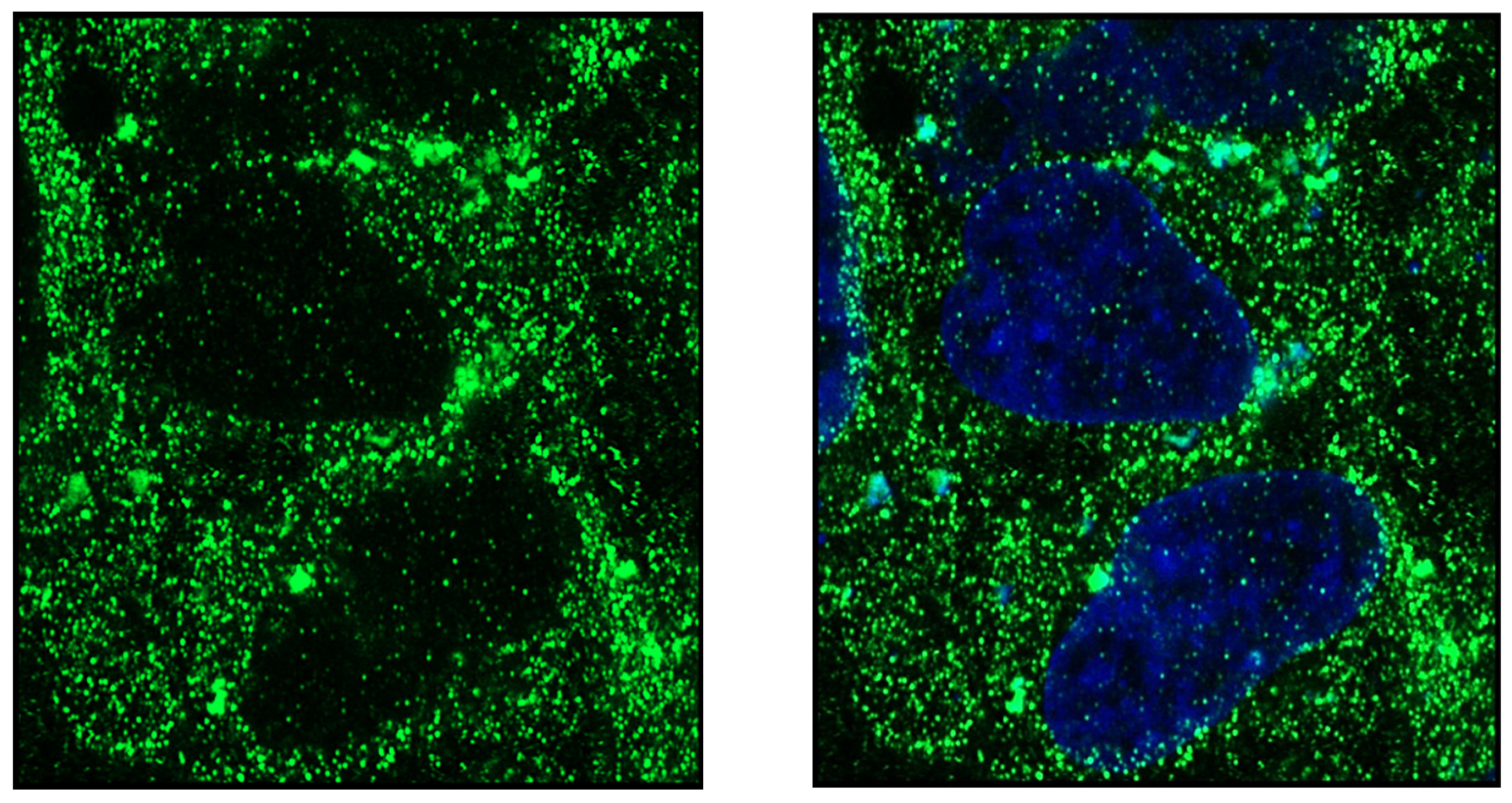 Endocrines 03 00057 g007 Endocrines 03 00057 g007