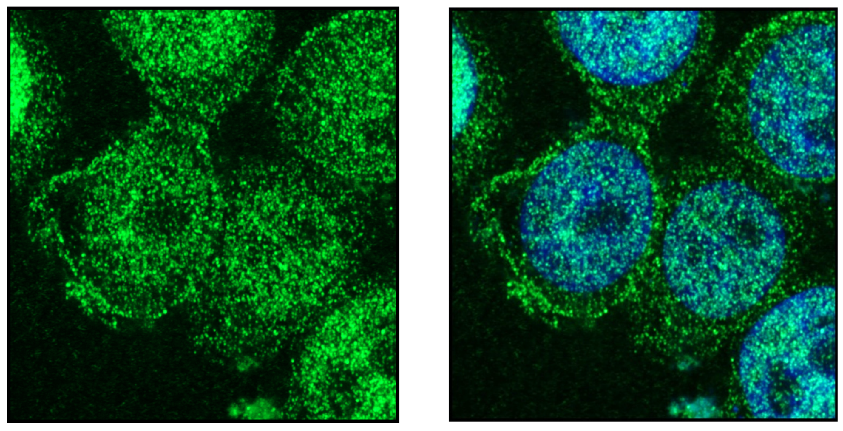 Endocrines 03 00057 g008 Endocrines 03 00057 g008