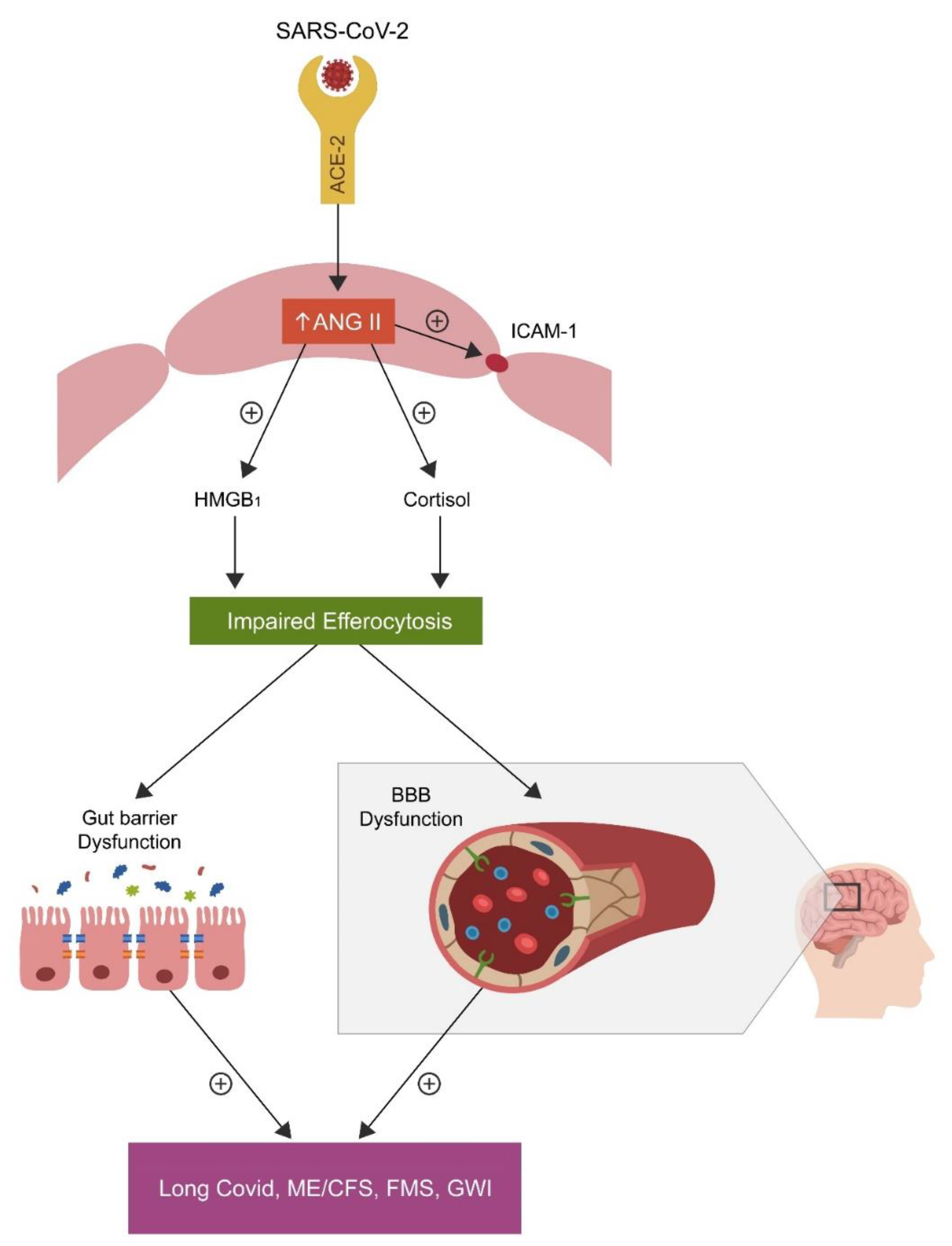 Endocrines 03 00058 g002 Endocrines 03 00058 g002