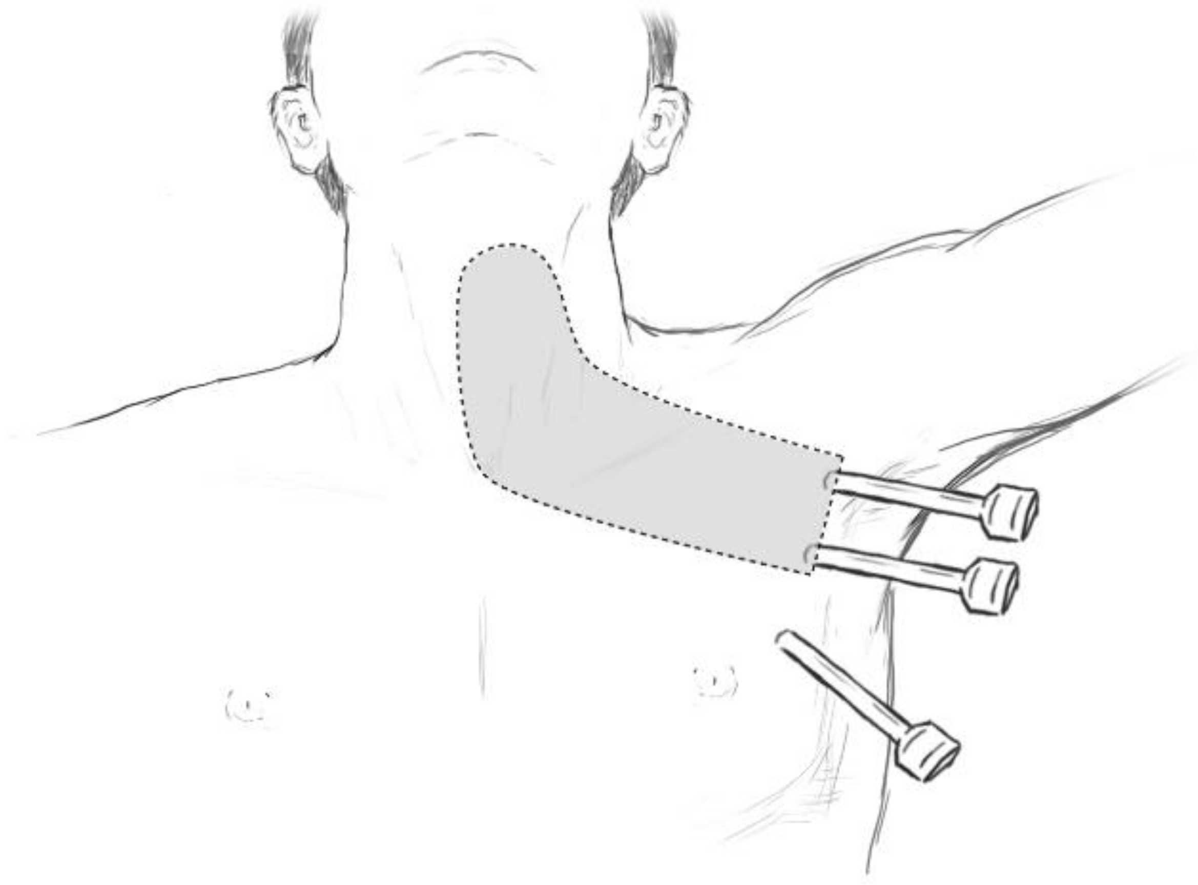 Endocrines 03 00065 g001