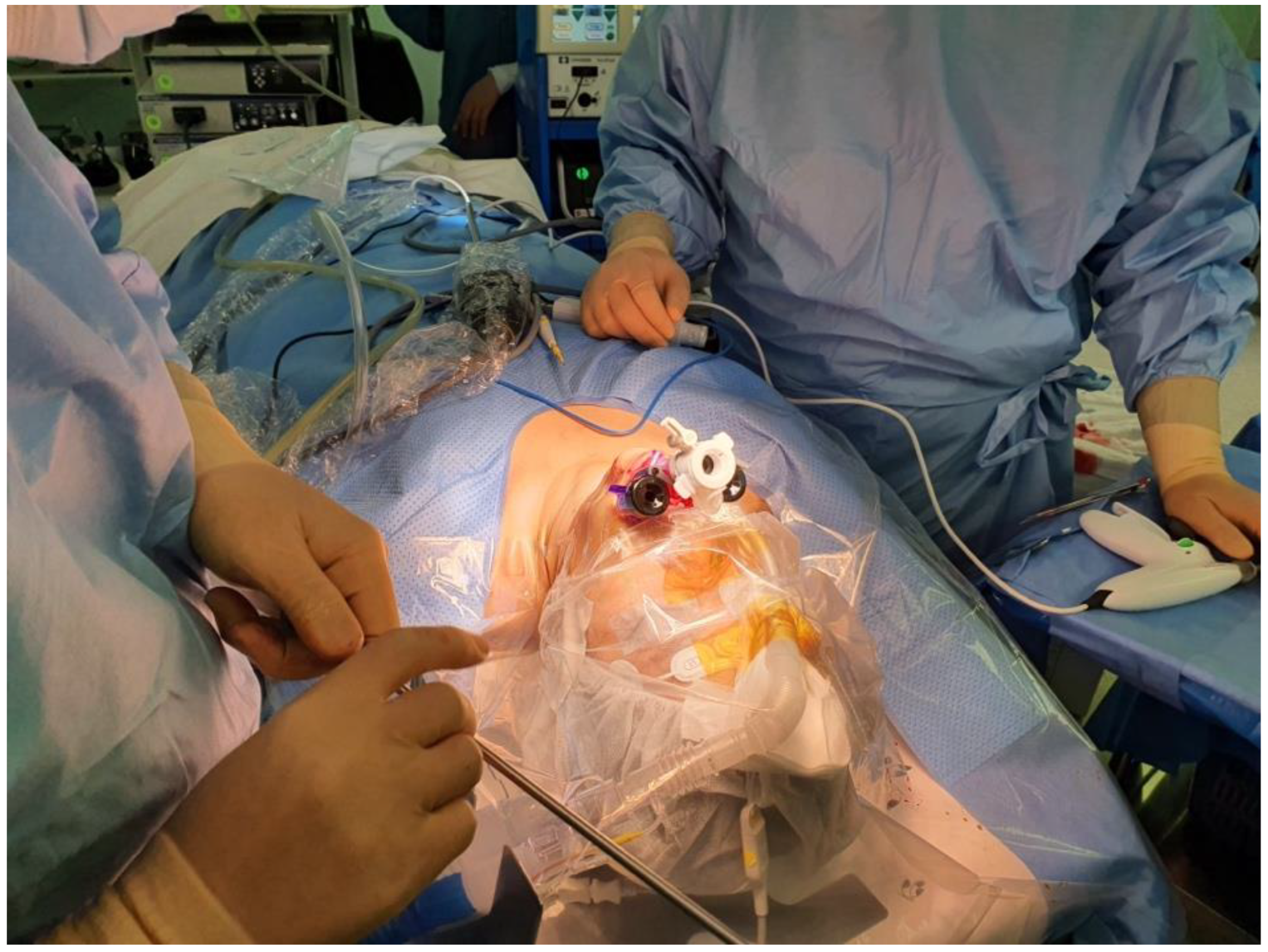 Endocrines 03 00065 g003